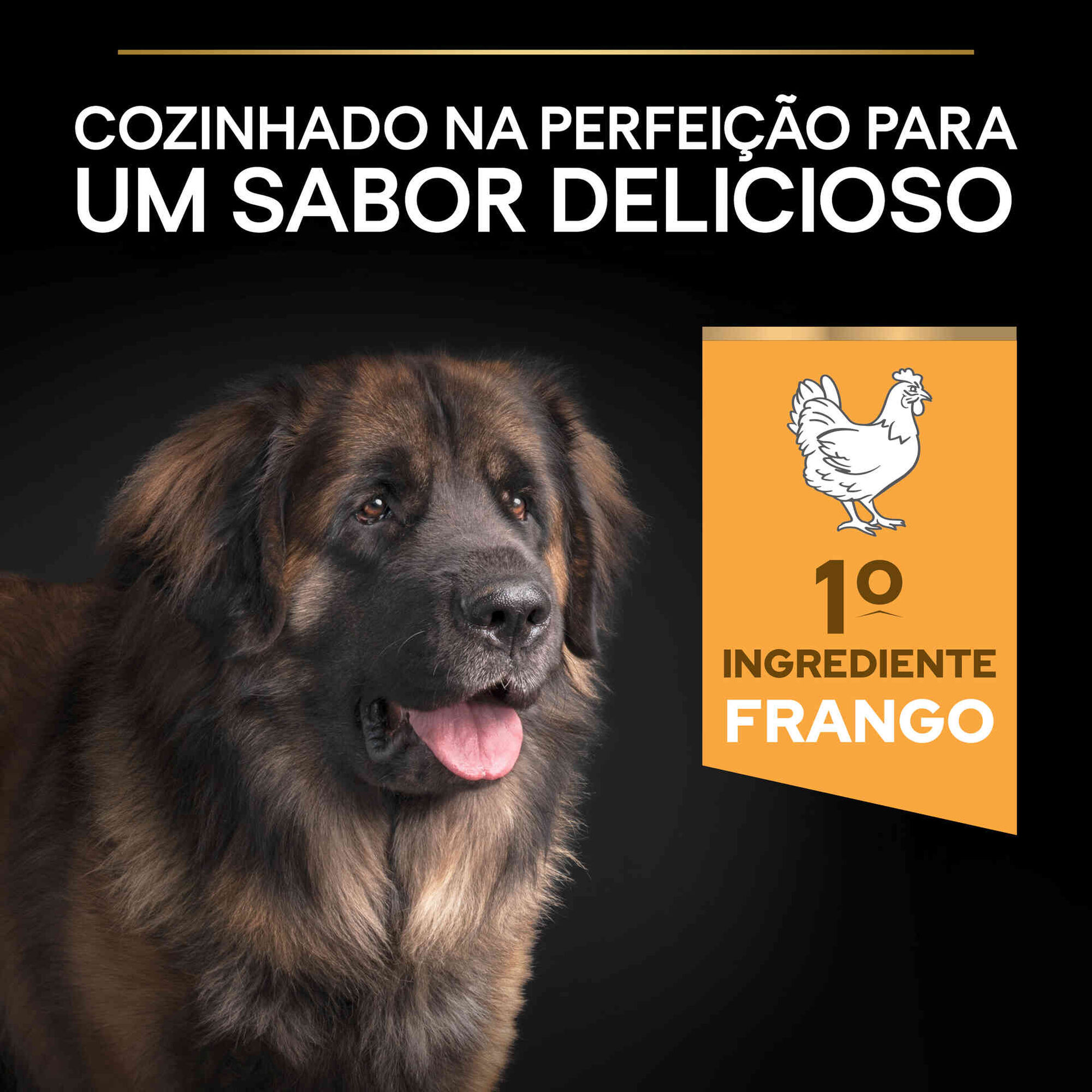 Ração para Cão Adulto Maxi Robust Everyday Nutrition Frango