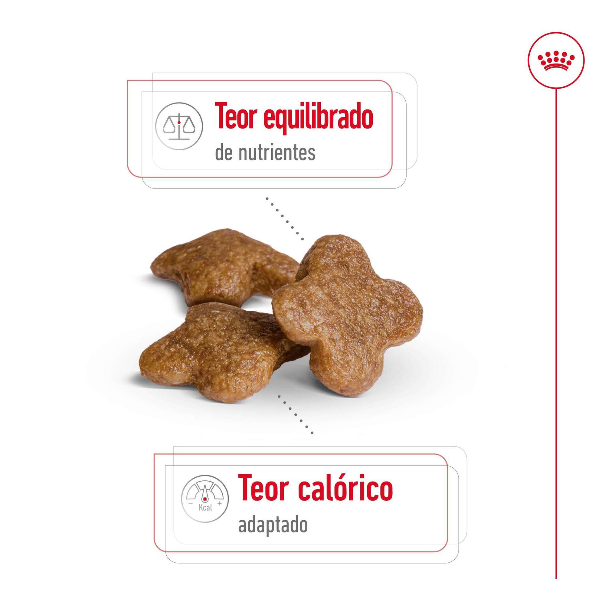 Ração para Cão Adulto Mini 8+