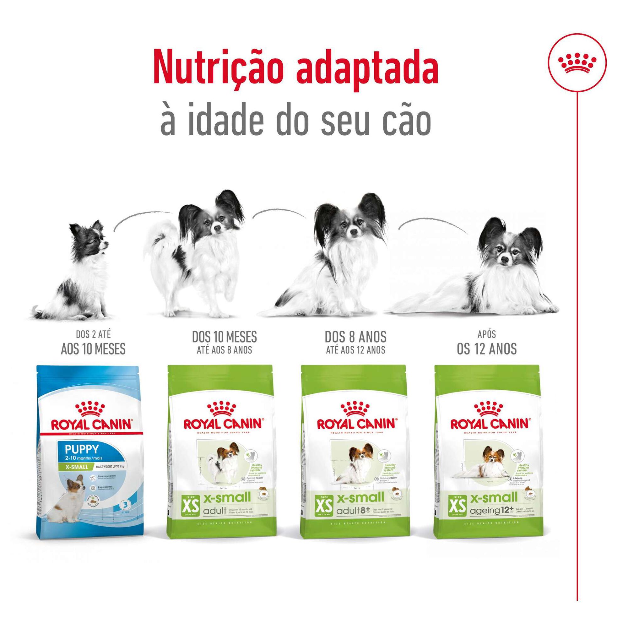 Ração para Cão Adulto Mini Ração para Cão Adulto Mini