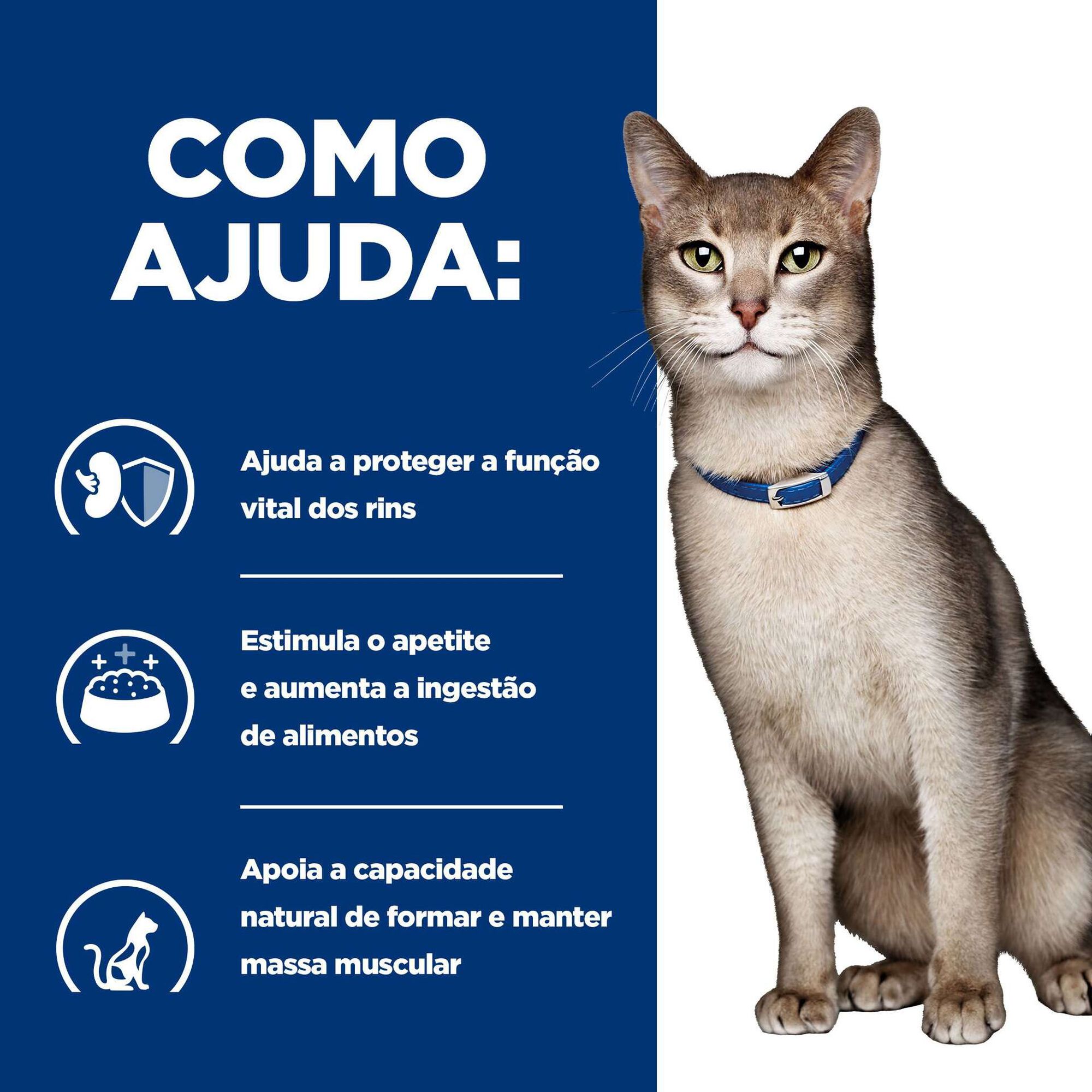 Comida H&uacute;mida para Gato Prescription Diet Kidney Care Salm&atilde;o