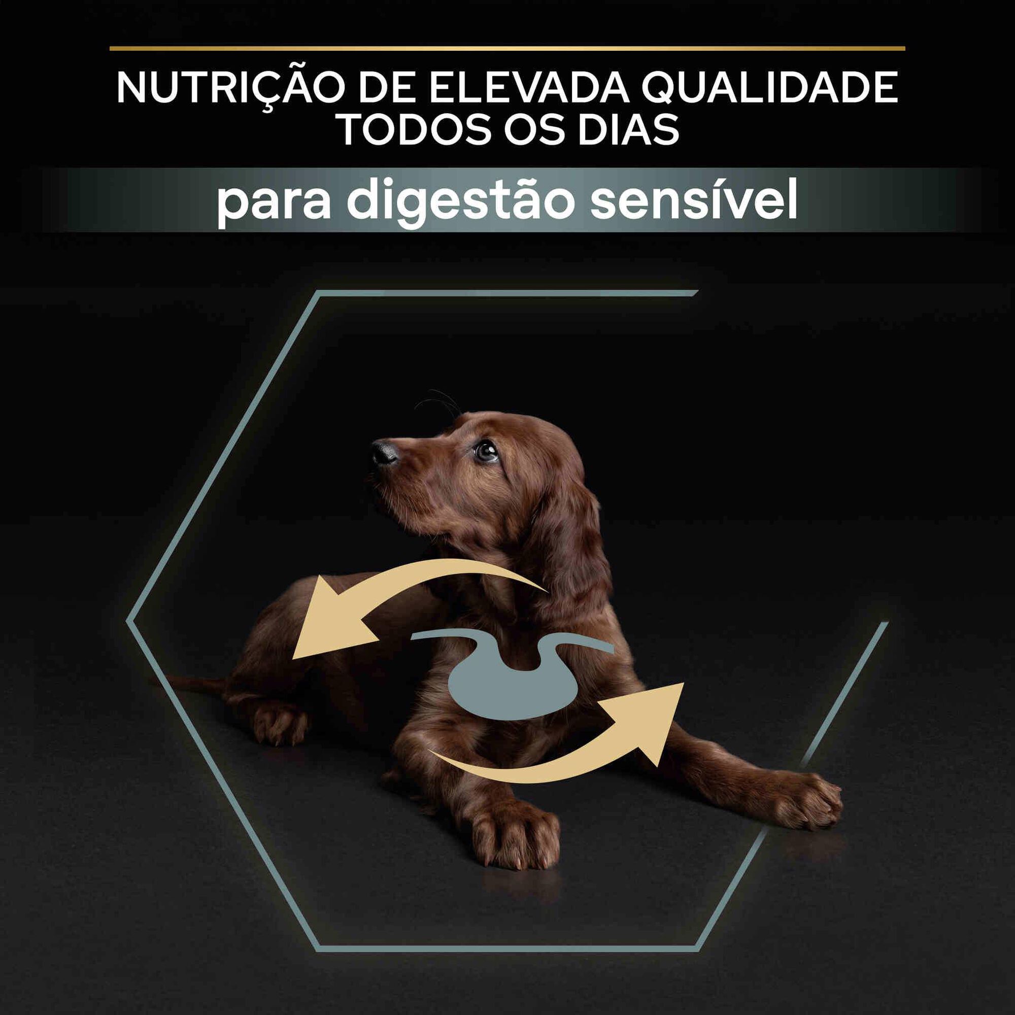 Ração para Cão Júnior Athletic Sensitive Digestion Borrego