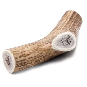 Haste de Veado para Cão S Haste de Veado para Cão S