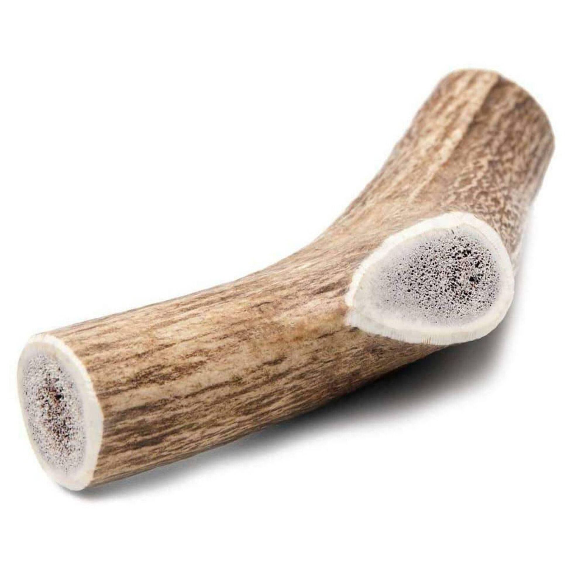 Haste de Veado para Cão Natural L Haste de Veado para Cão Natural L