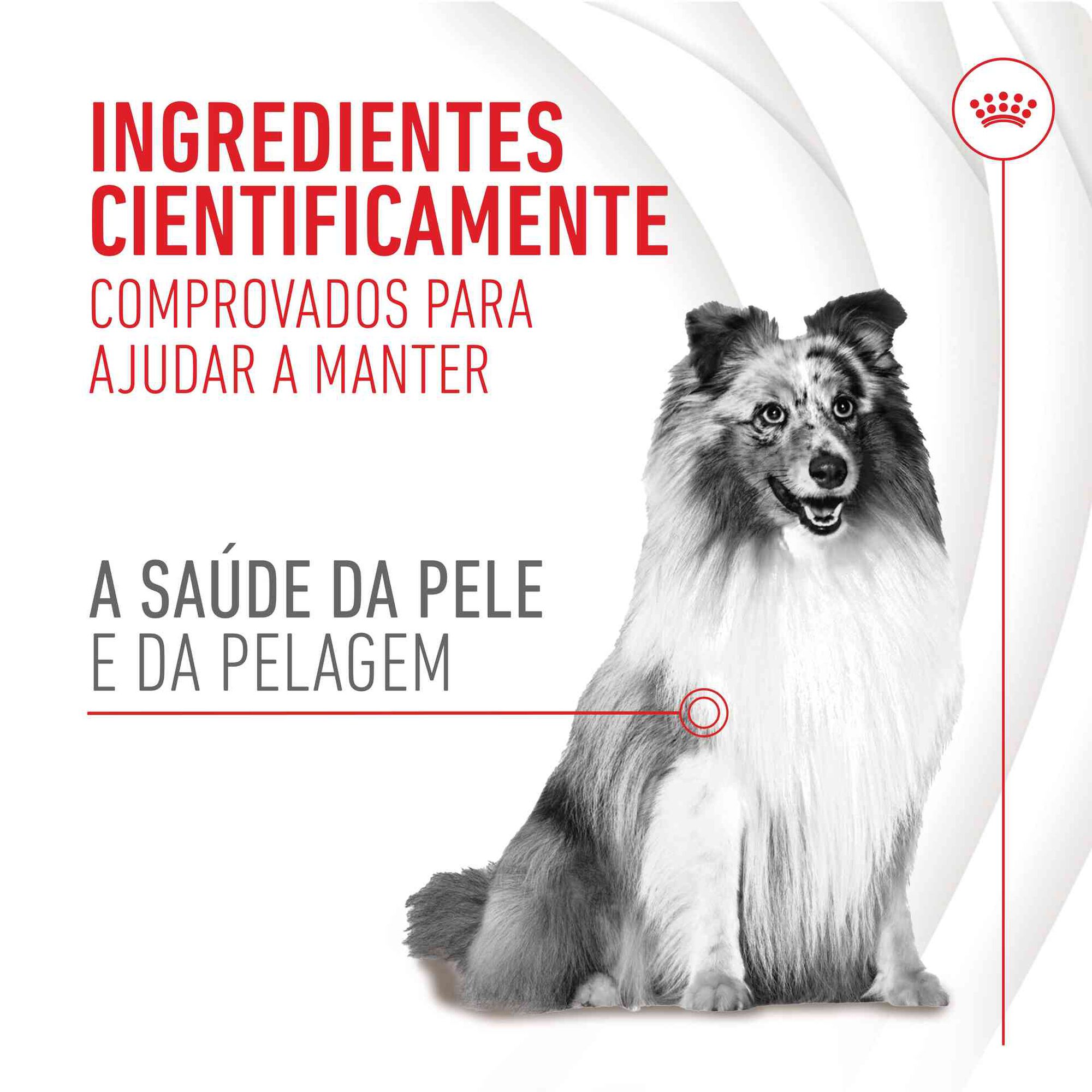 Suplemento Snack para Cão Adulto Skin&Coat Chews