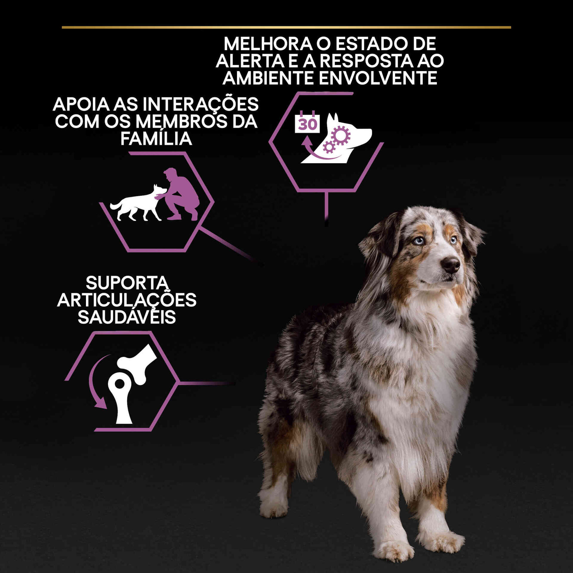 Ração para Cão Adulto Médio e Maxi Age Defence Frango