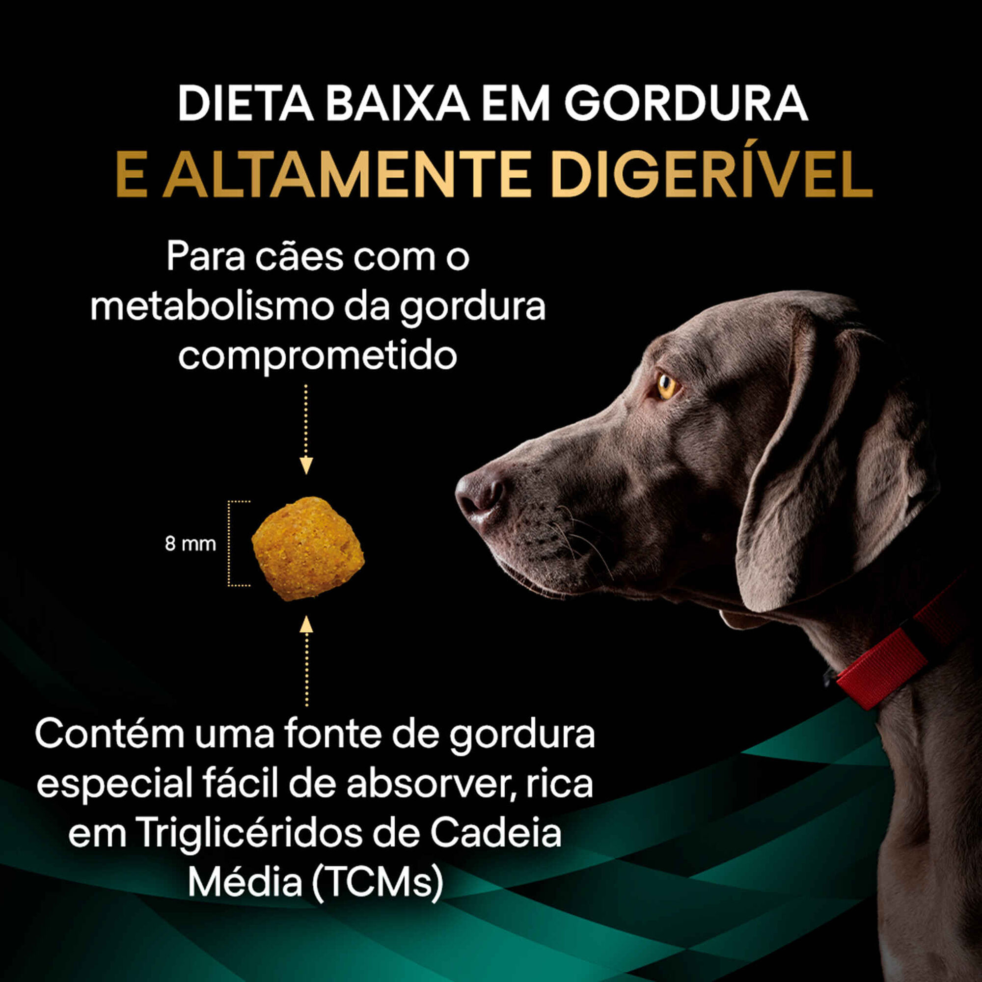 Ração para Cão Adulto Gastrointestinal Low Fat