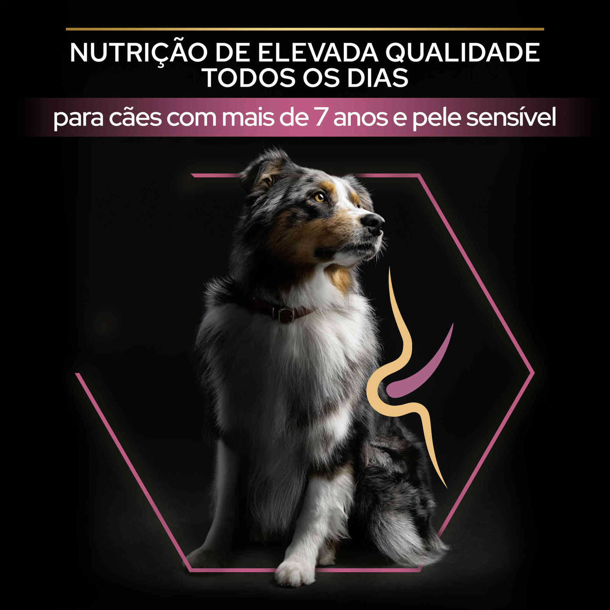 Ração para Cão Adulto Ageing 7+ Médio e Maxi Sensitive Skin Salmão