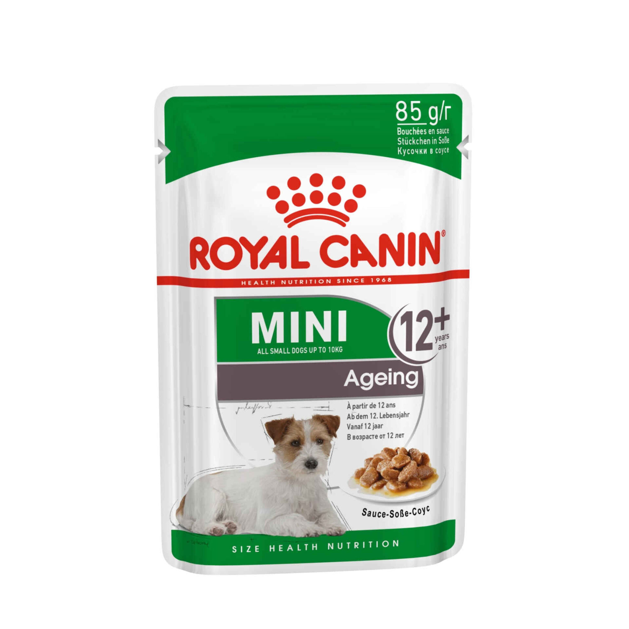 Caixa Comida Húmida para Cão Mini Ageing