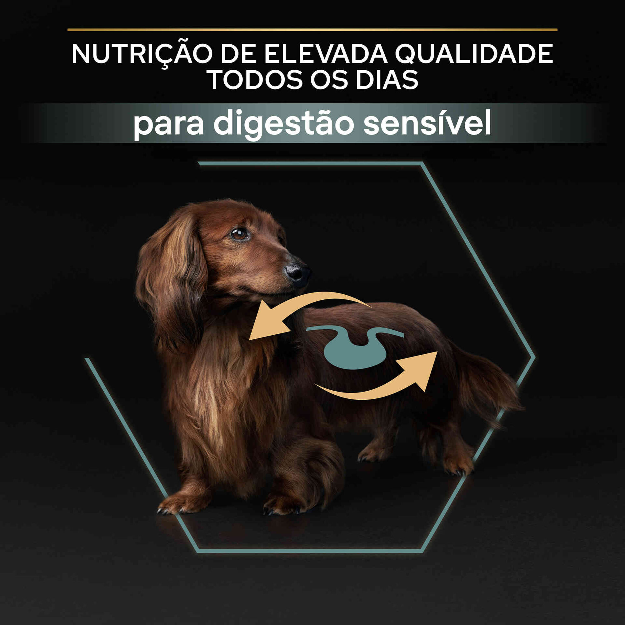 Ração para Cão Adulto Mini Sensitive Digestion Borrego