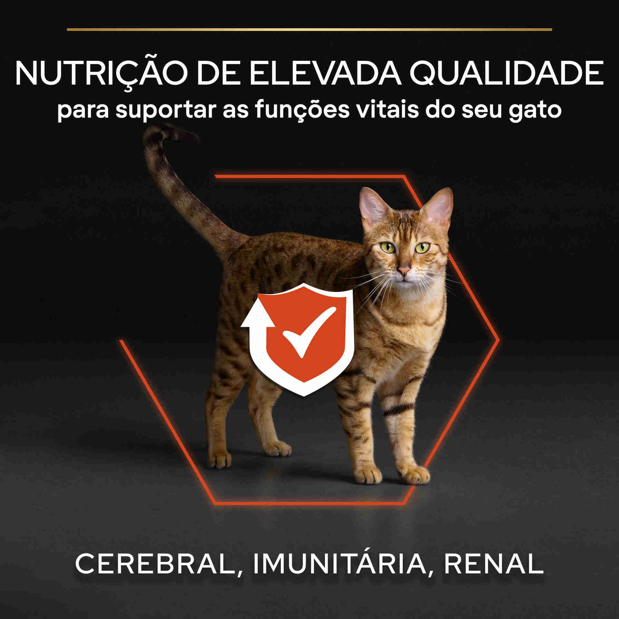Ração para Gato Adulto Vital Functions Salmão