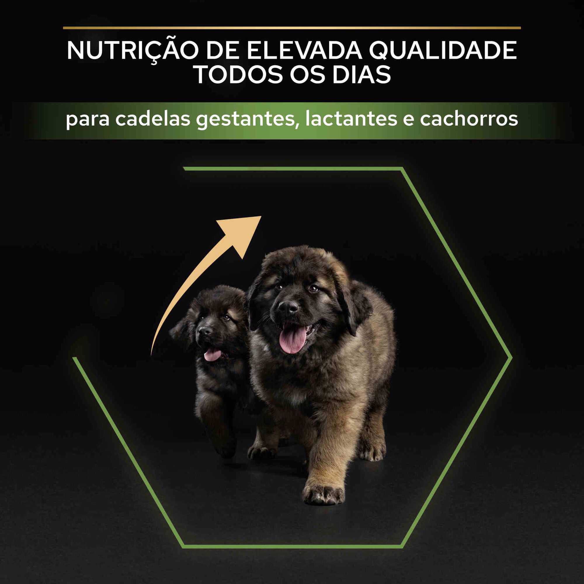 Ração para Cão Júnior Maxi Robust Healthy Start Frango Ração para Cão Júnior Maxi Robust Healthy Start Frango