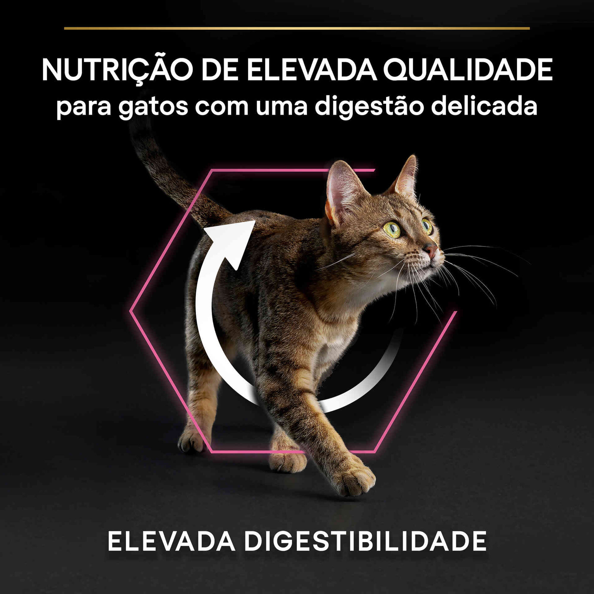 Ração para Gato Adulto OptiDigest Peru