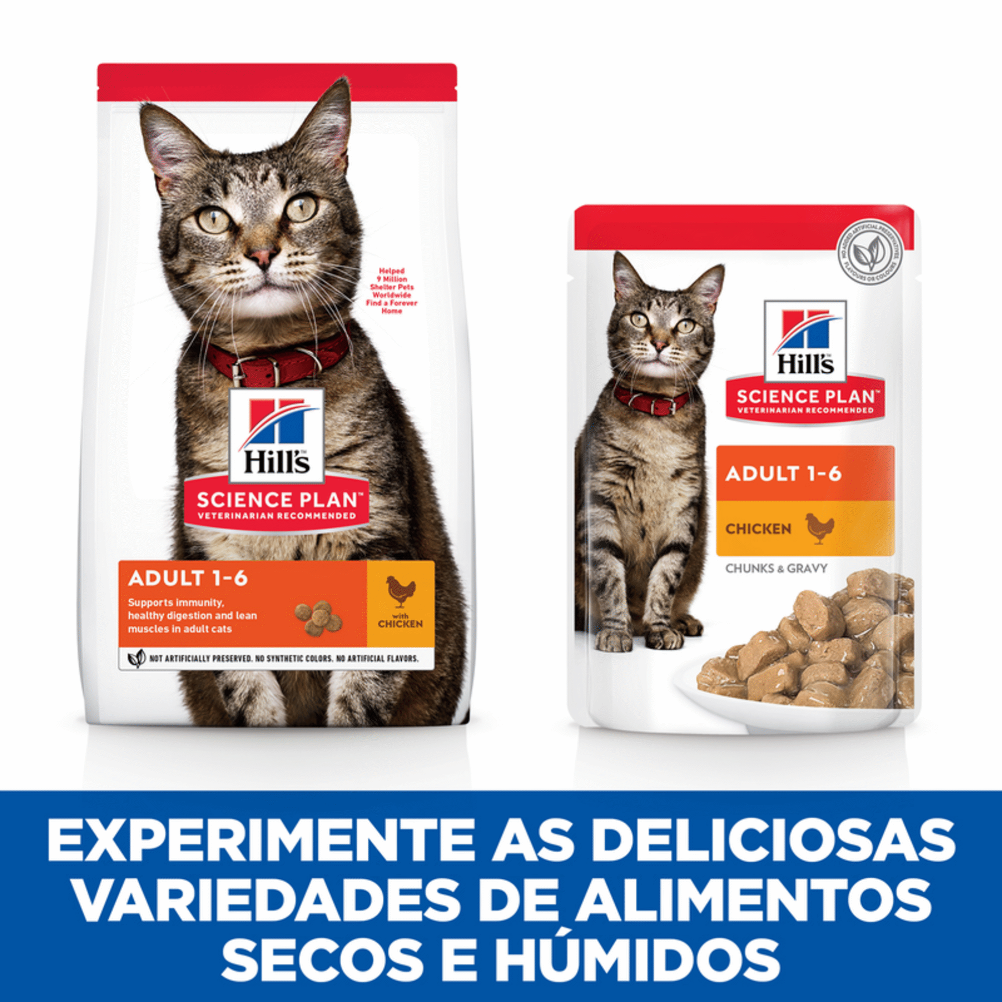 Ração para Gato Adulto Science Plan Frango