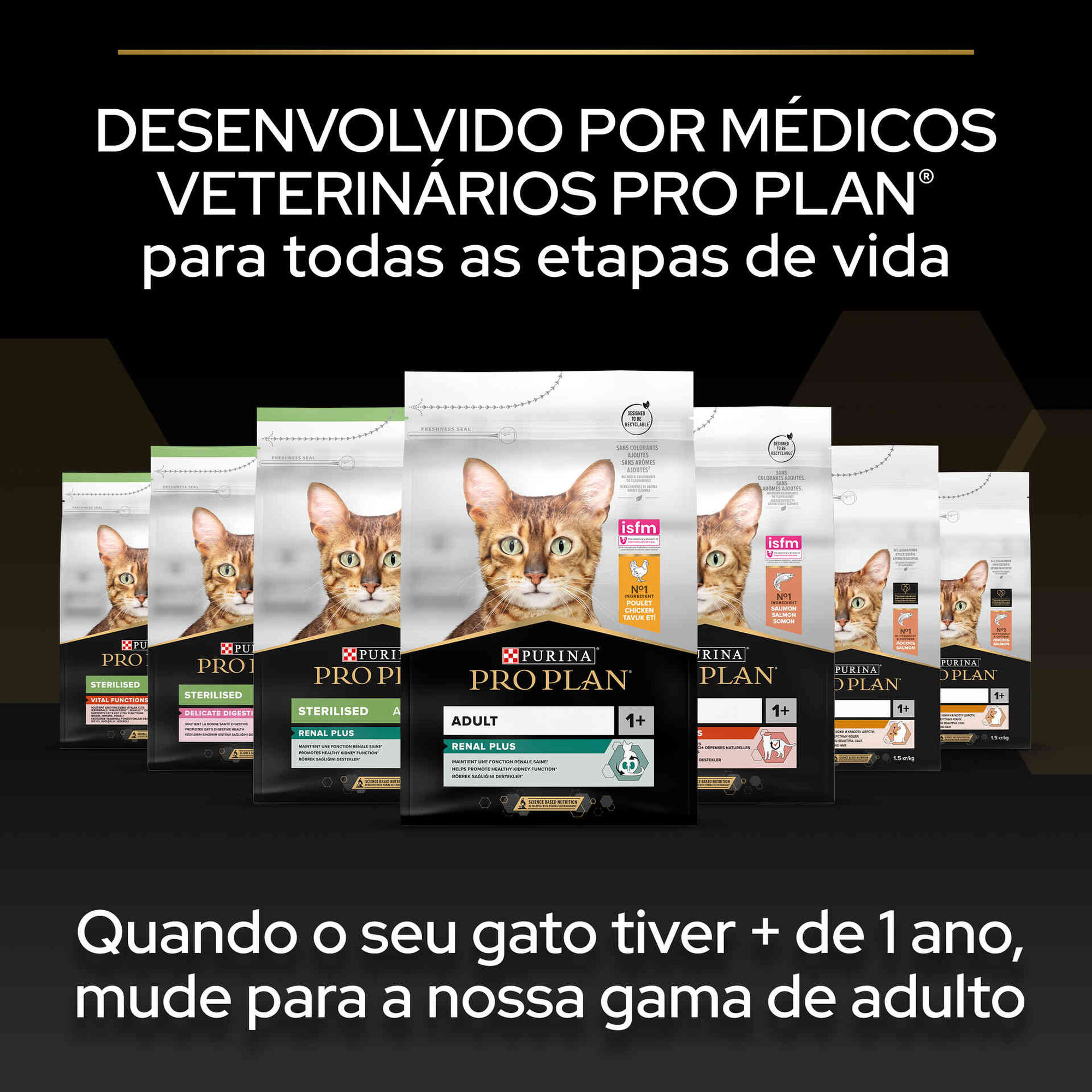 Ração para Gato Júnior Frango