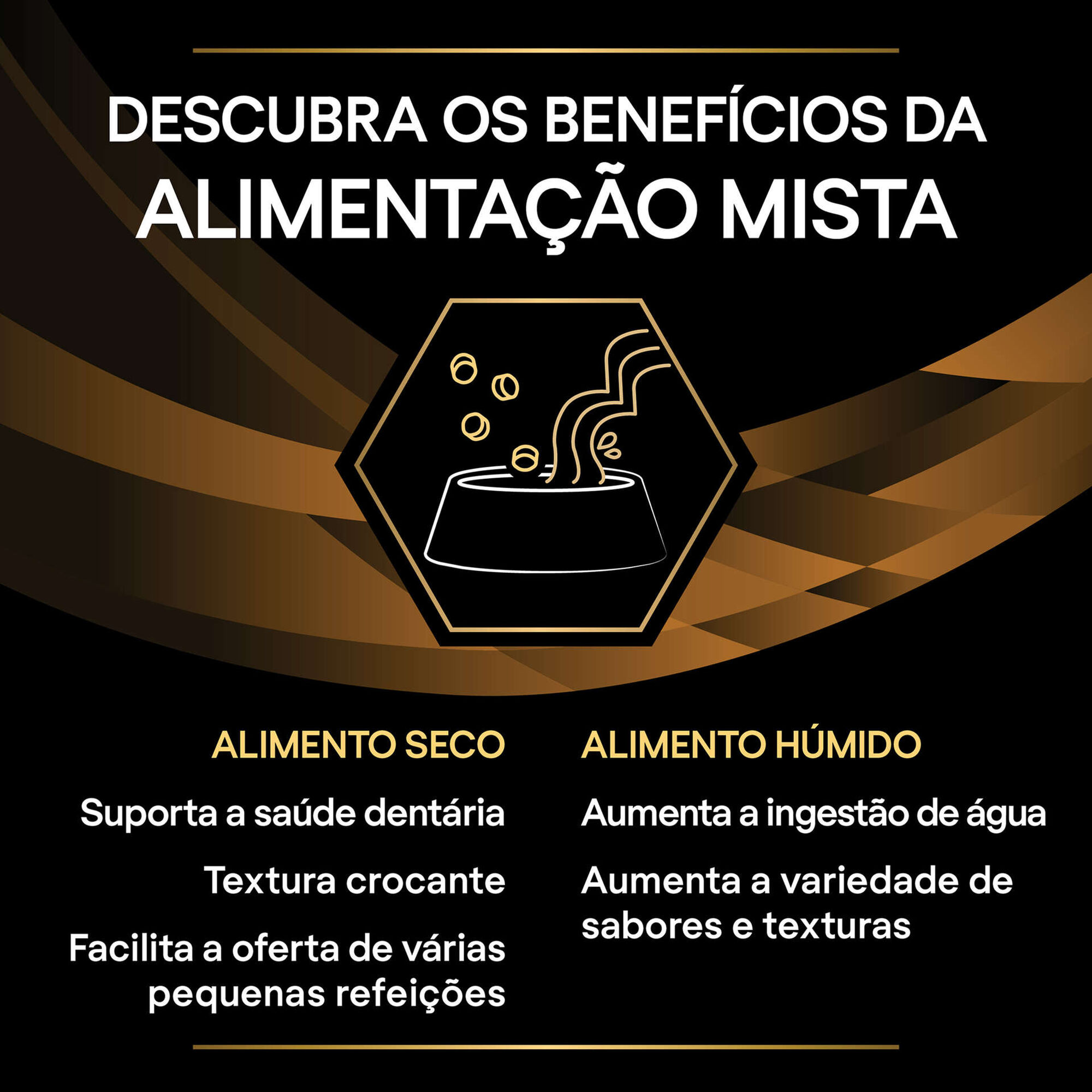Comida Húmida para Cão Renal Mousse