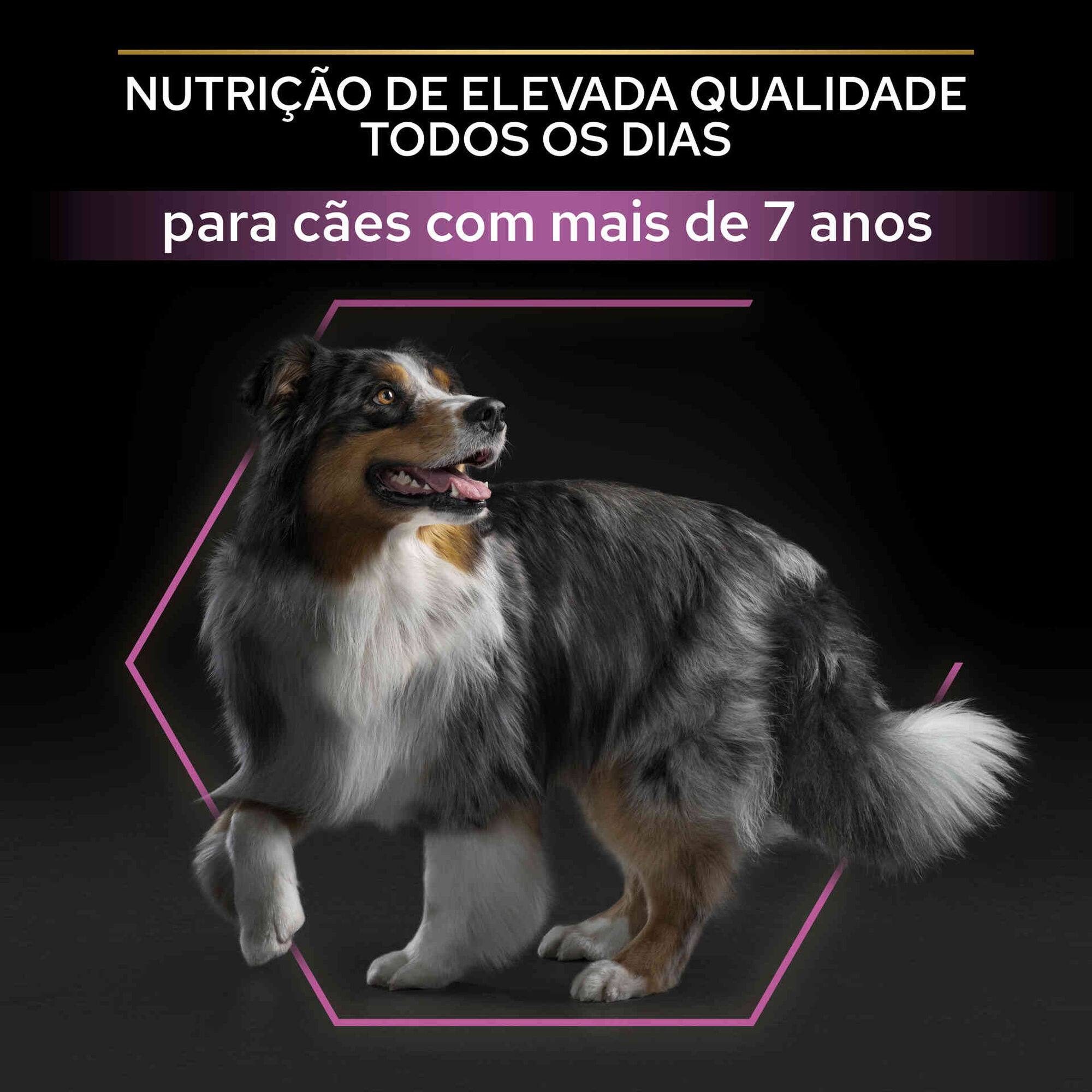 Ração para Cão Adulto Médio e Maxi Age Defence Frango