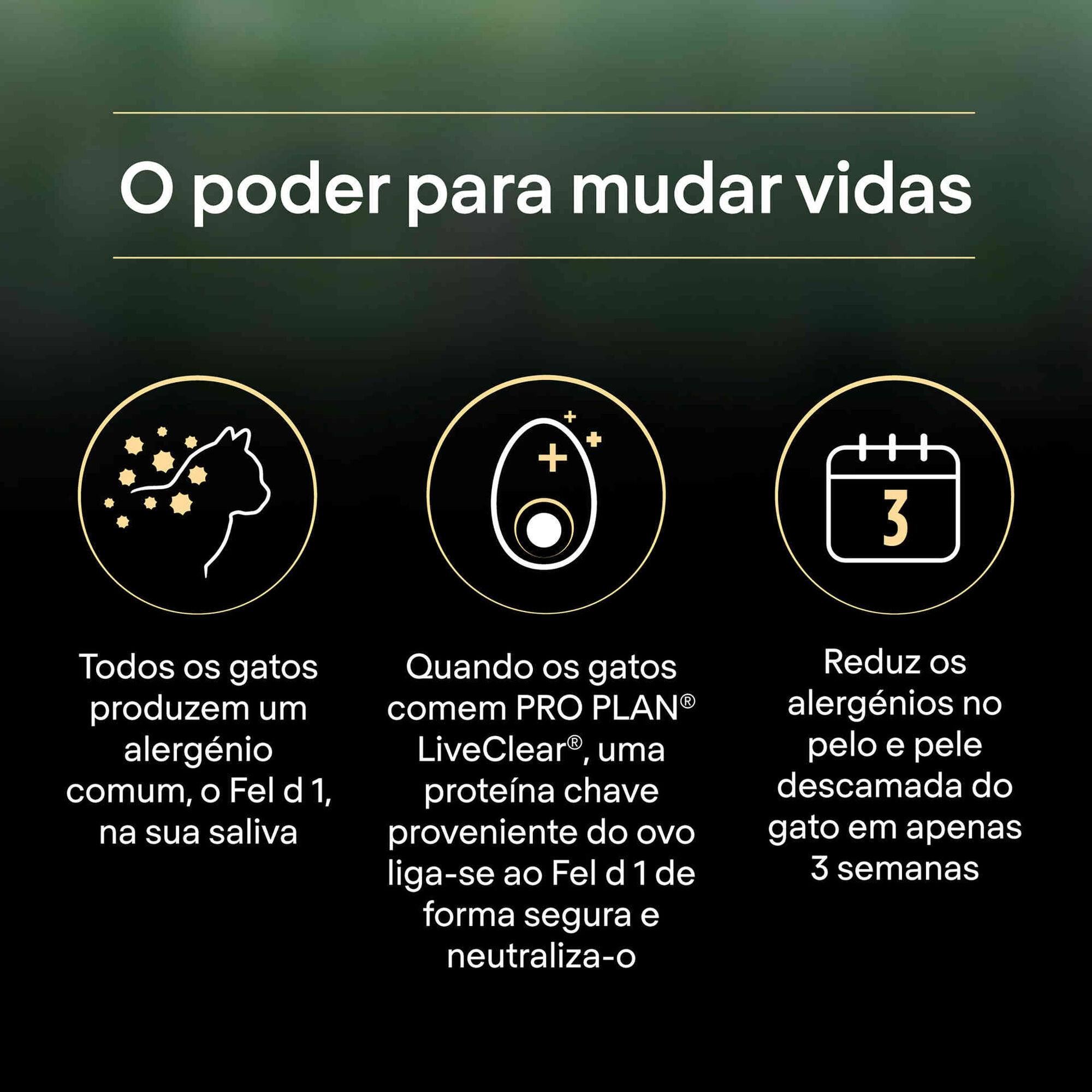 Ração para Gato Adulto Esterilizado Live Clear Salmão