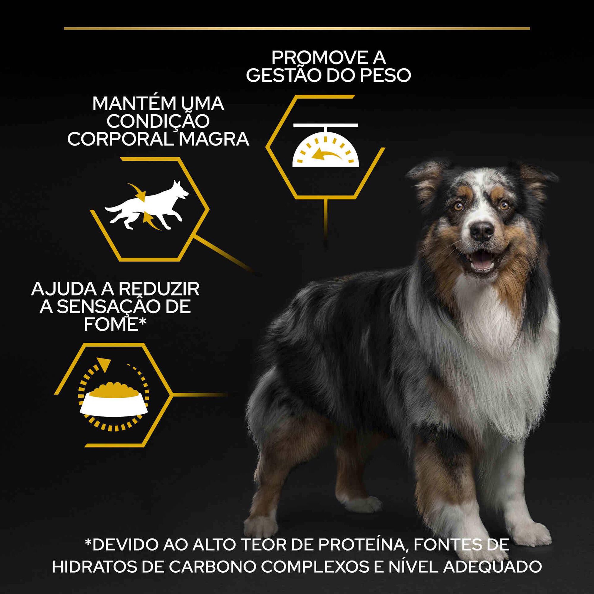 Ração para Cão Ligh/Esterilizado Peixe Branco