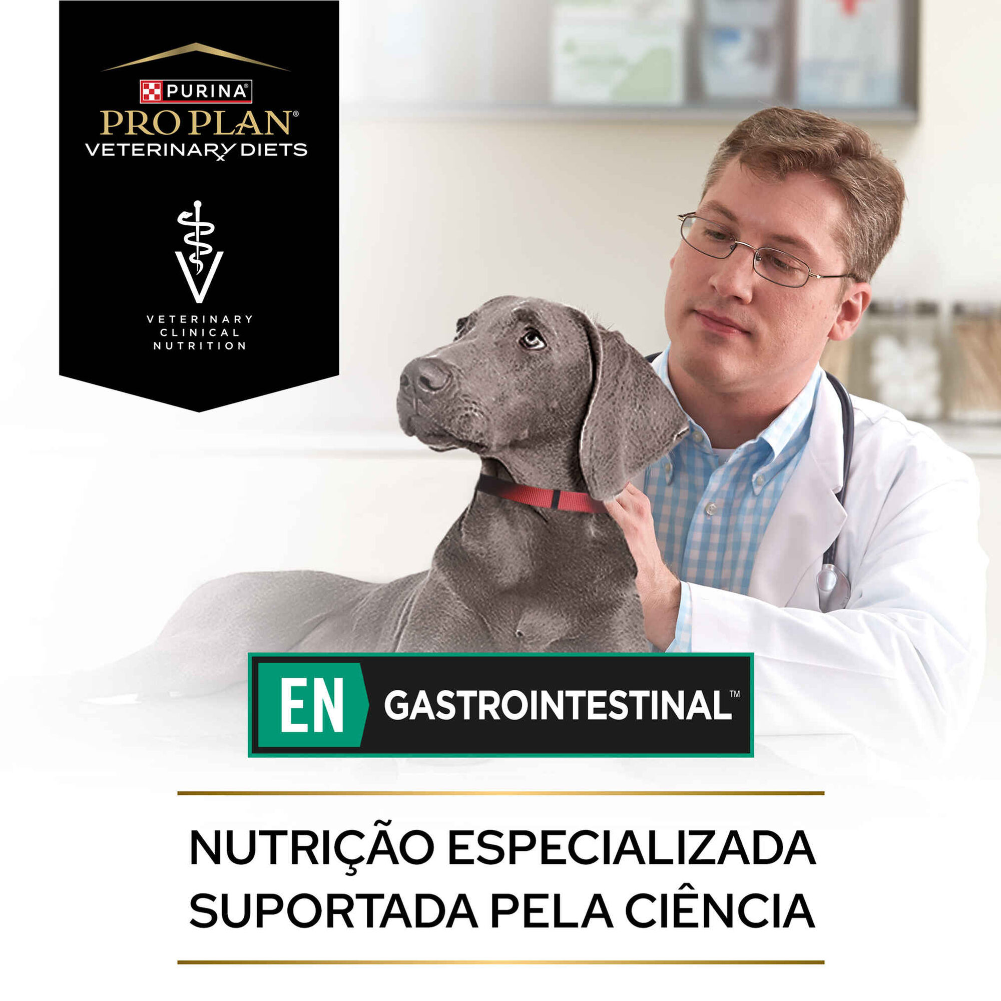 Comida Húmida para Cão Gastrointestinal Lata