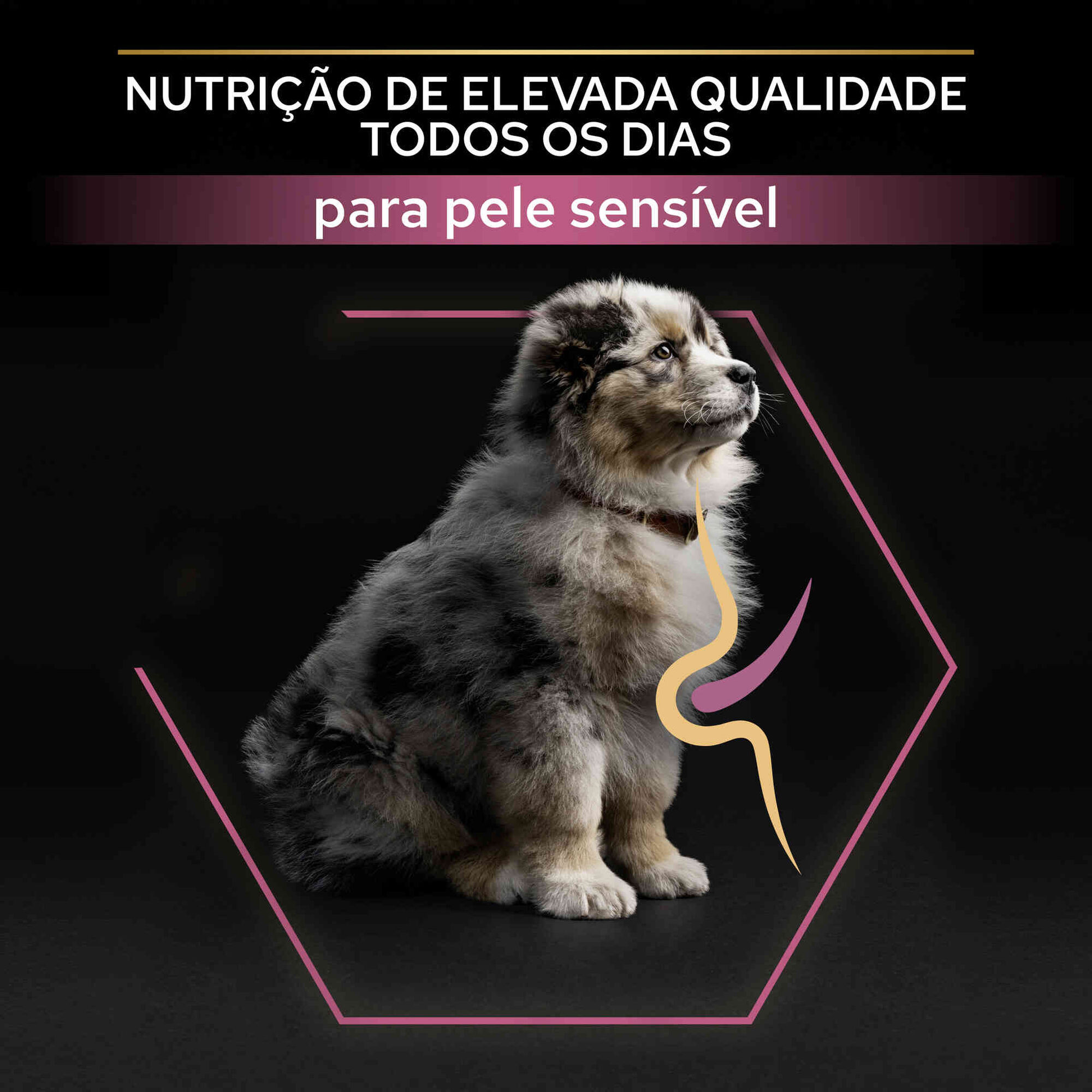 Ração para Cão Júnior Médio Sensitive Skin Salmão