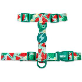 Arnês para Cão Eco Breeze