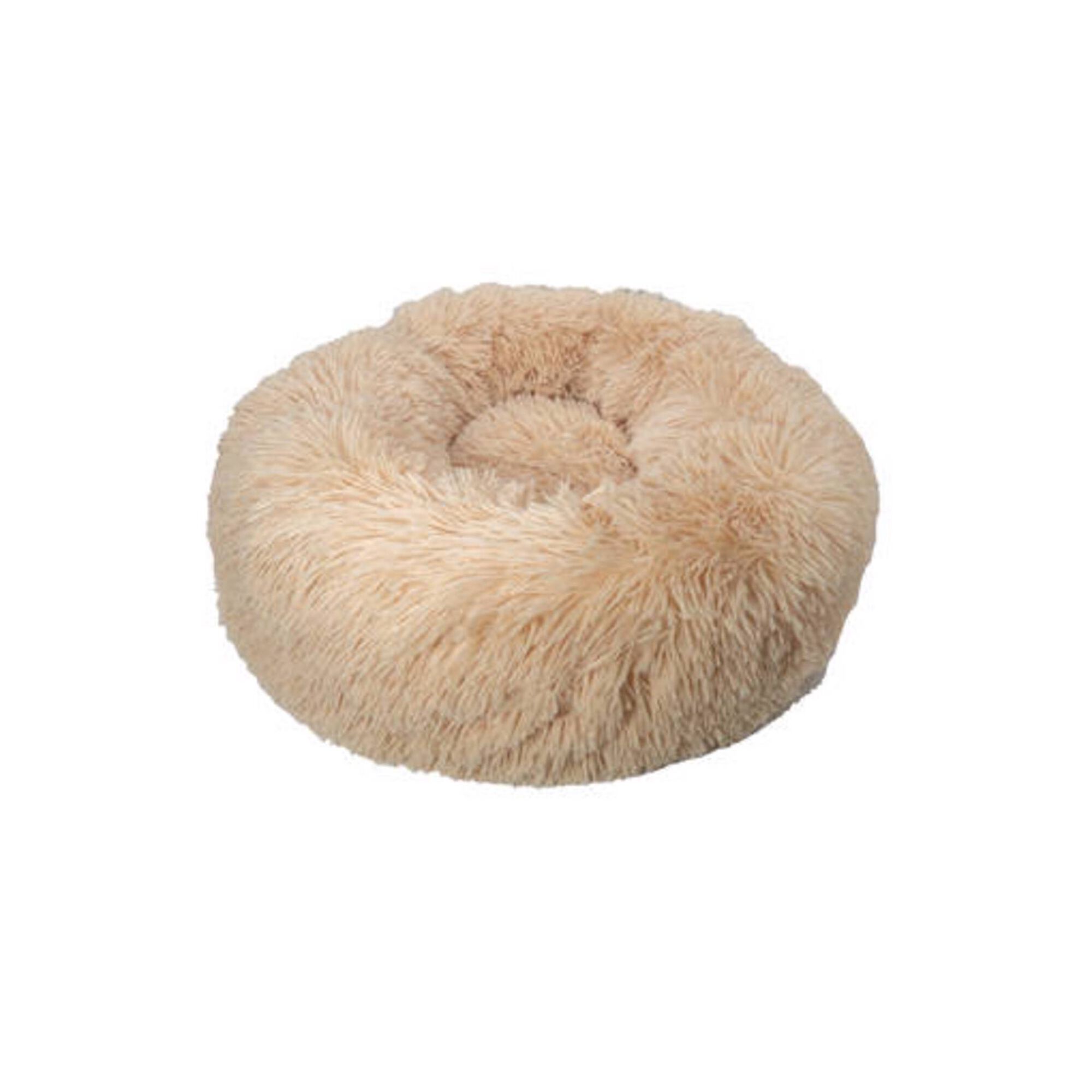 Cama Yali Bege
