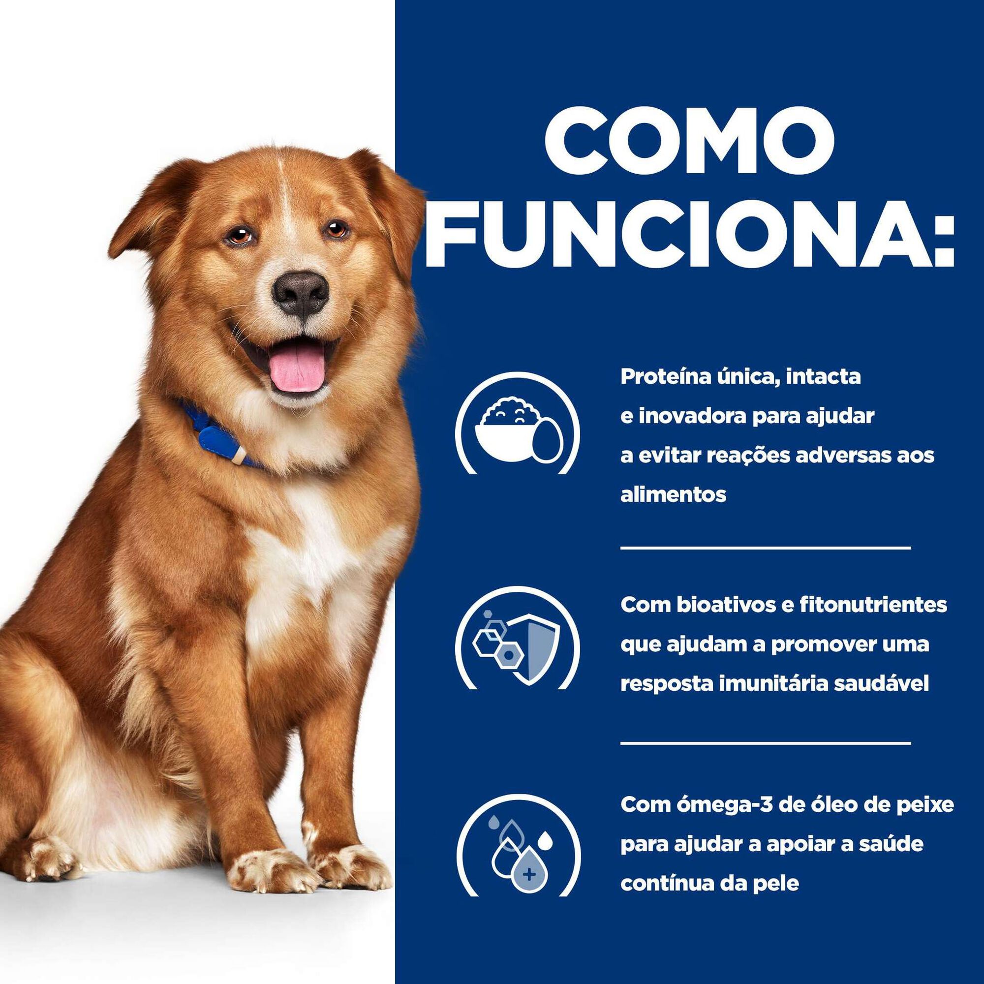 Ra&ccedil;&atilde;o para C&atilde;o Adulto Prescription Diet Derm Complete Frango