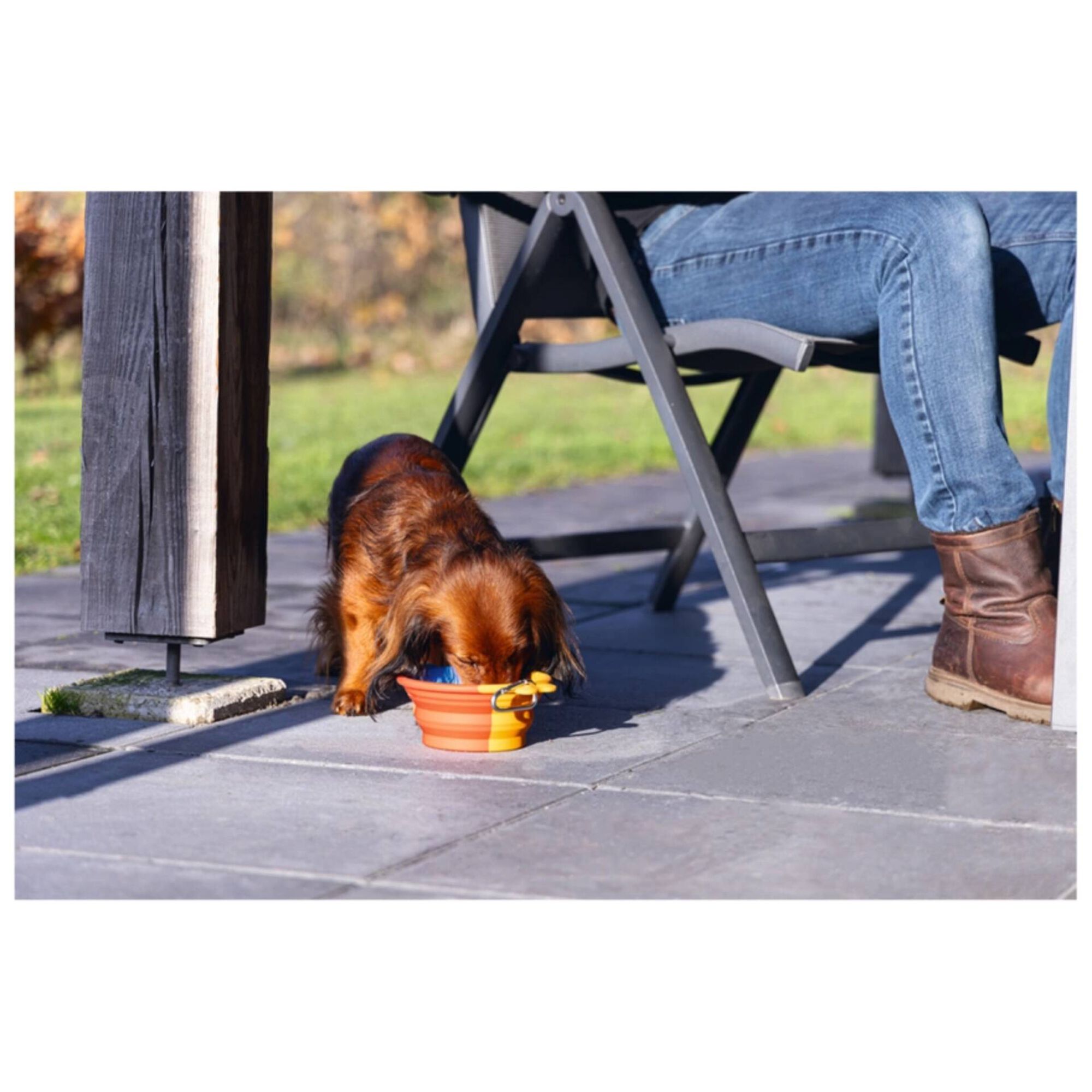 Comedouro de Viagem Verde