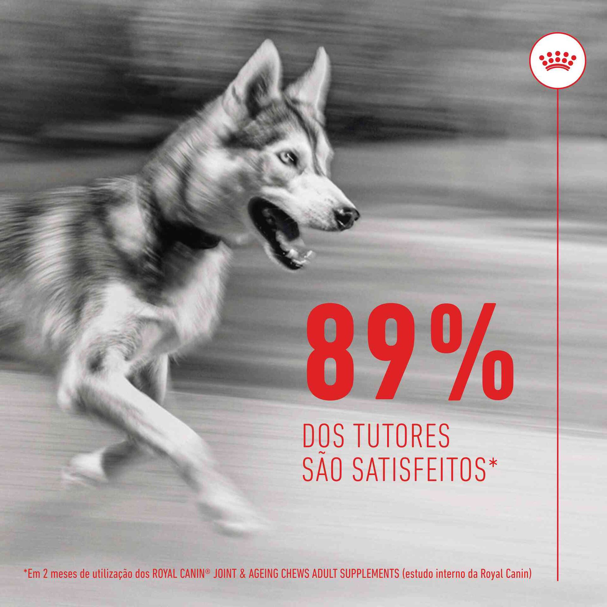 Suplemento Snack para Cão Adulto Joint&Ageing Chews