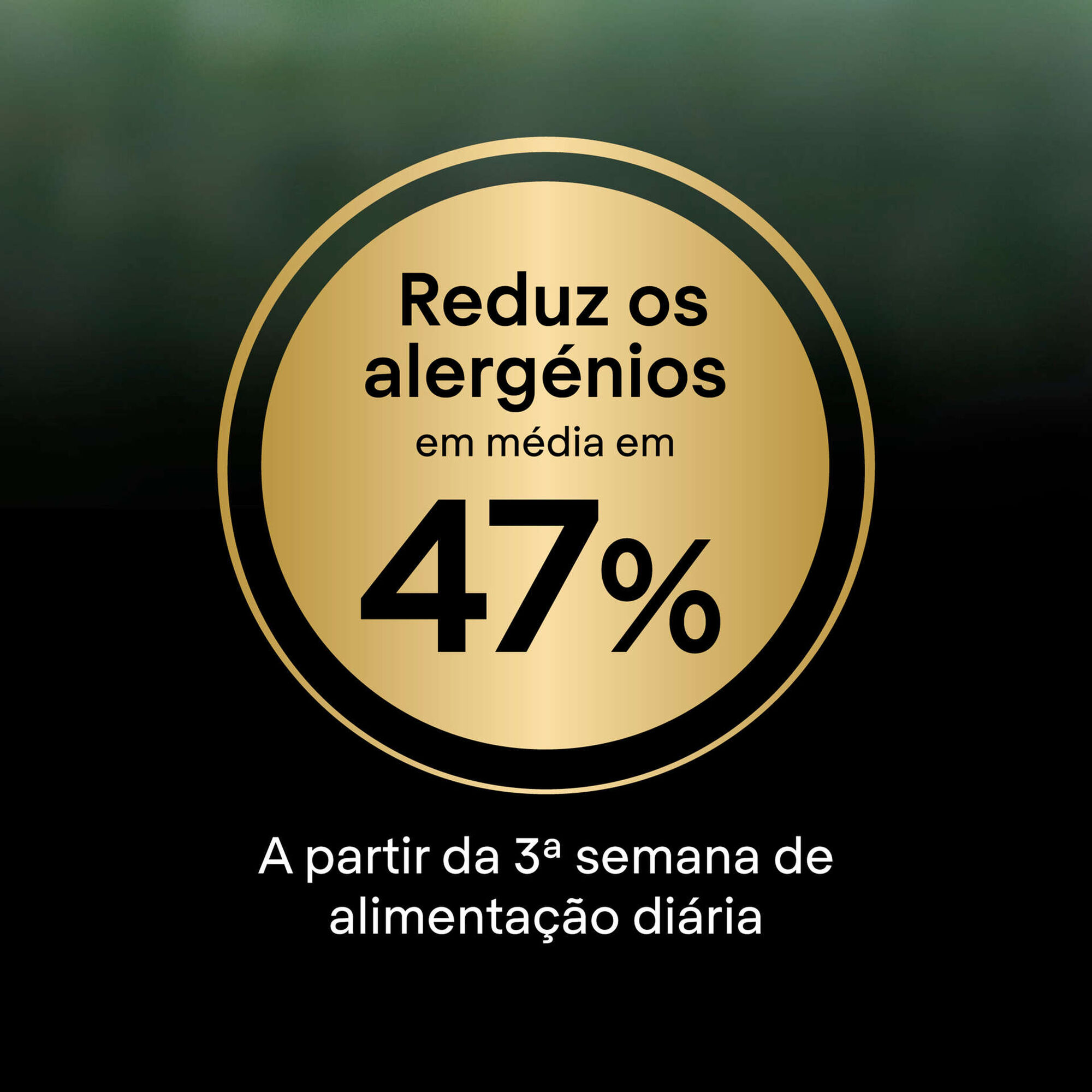 Ração para Gato Sénior Esterilizado Ageing +7 Live Clear Peru