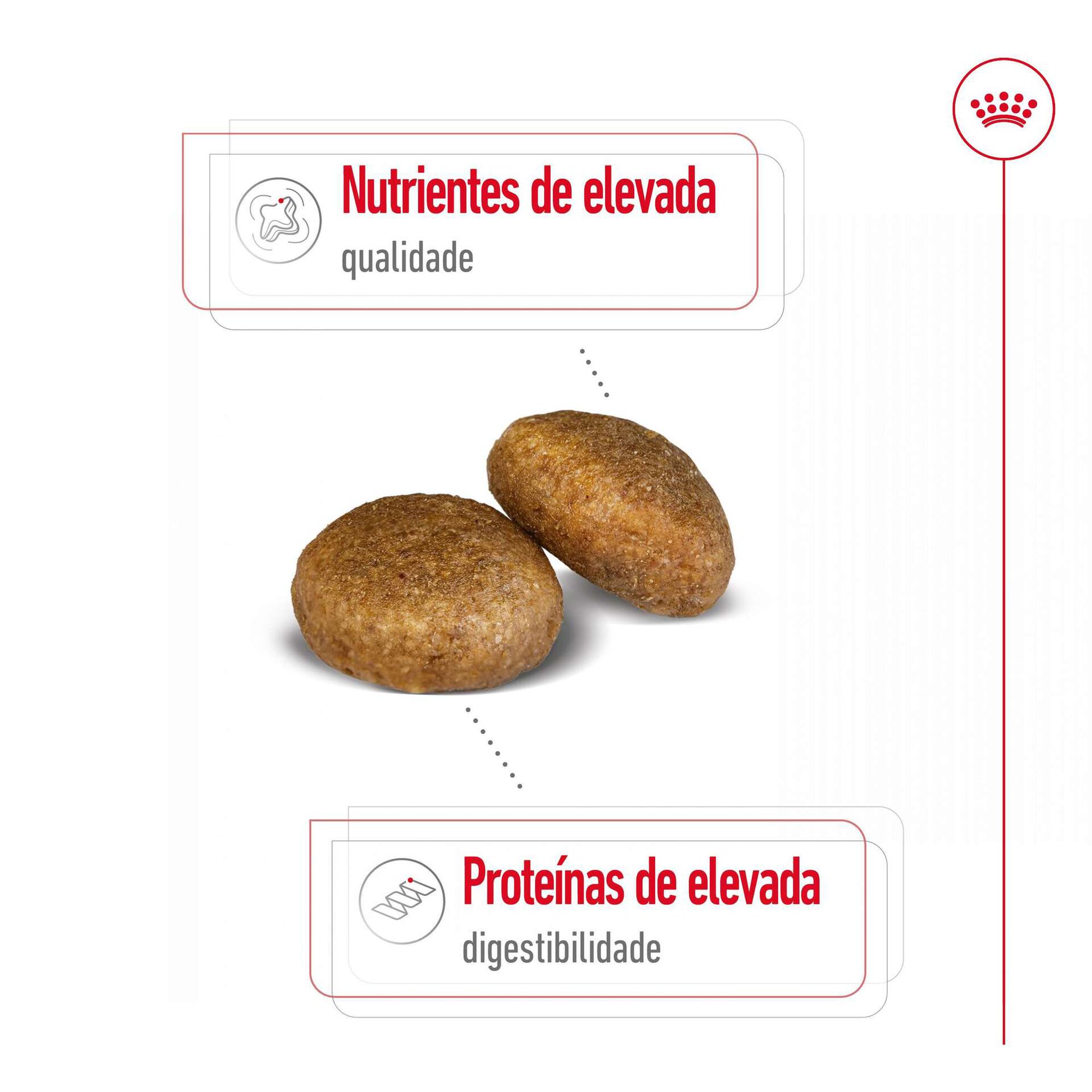 Ração para Cão Adulto Maxi Ração para Cão Adulto Maxi