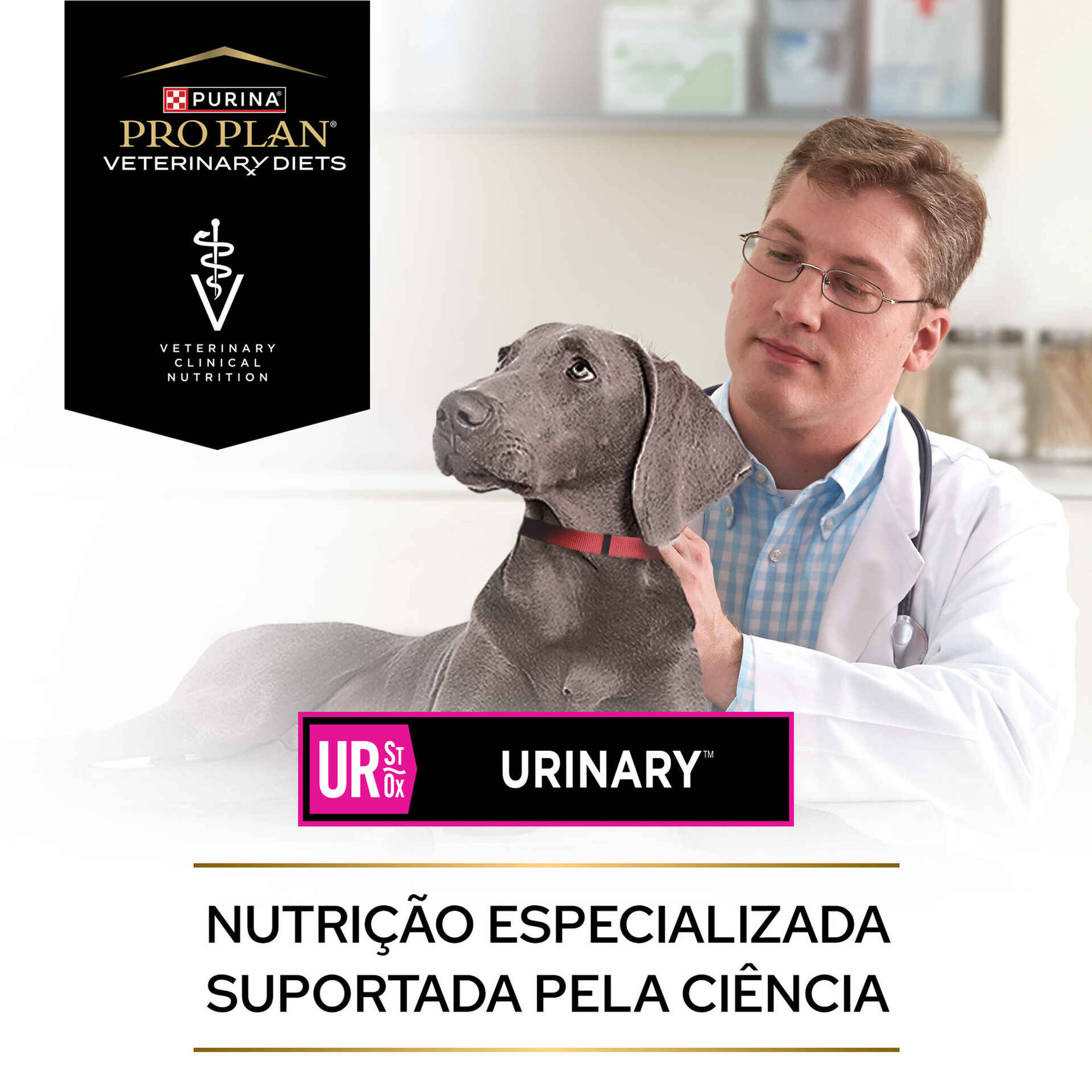 Ração para Cão Adulto Urinary