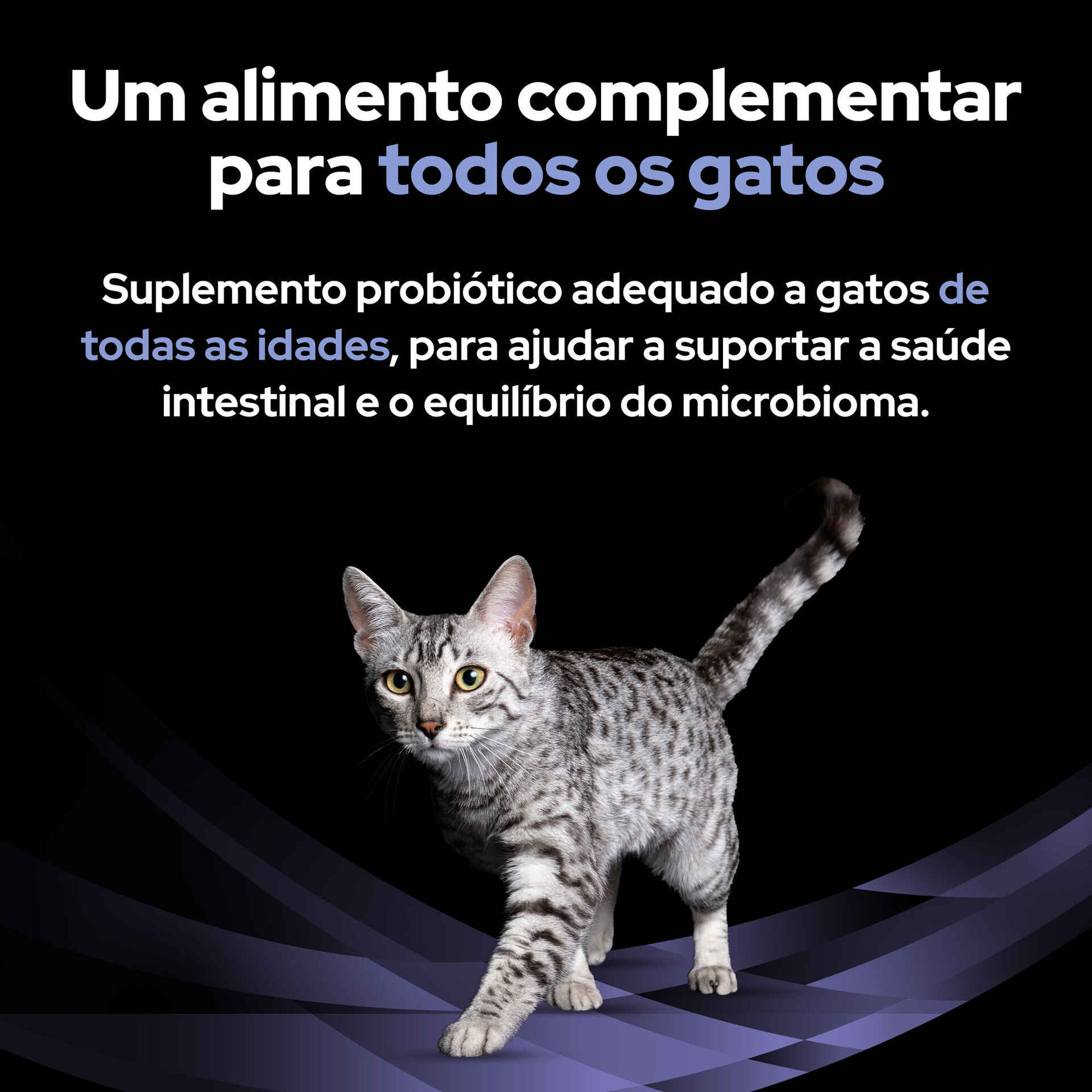 Suplemento Fortiflora para Gato Suplemento Fortiflora para Gato