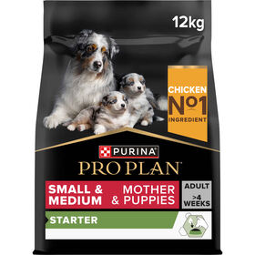Ração para Cão Júnior Starter Mini e Médio Frango