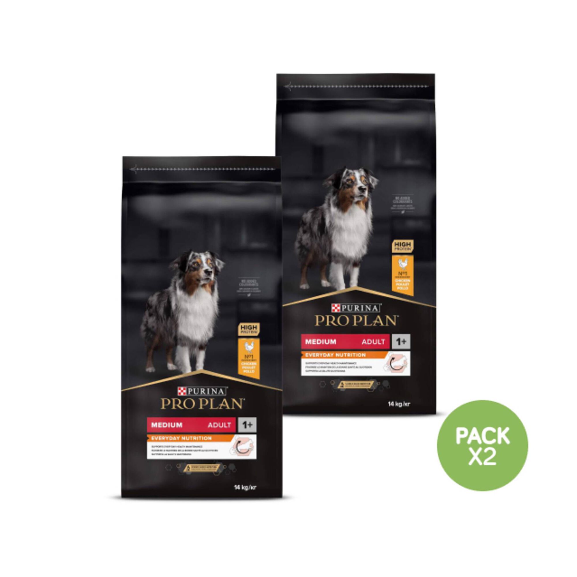 Ração para Cão Adulto Médio Everyday Nutrition Frango