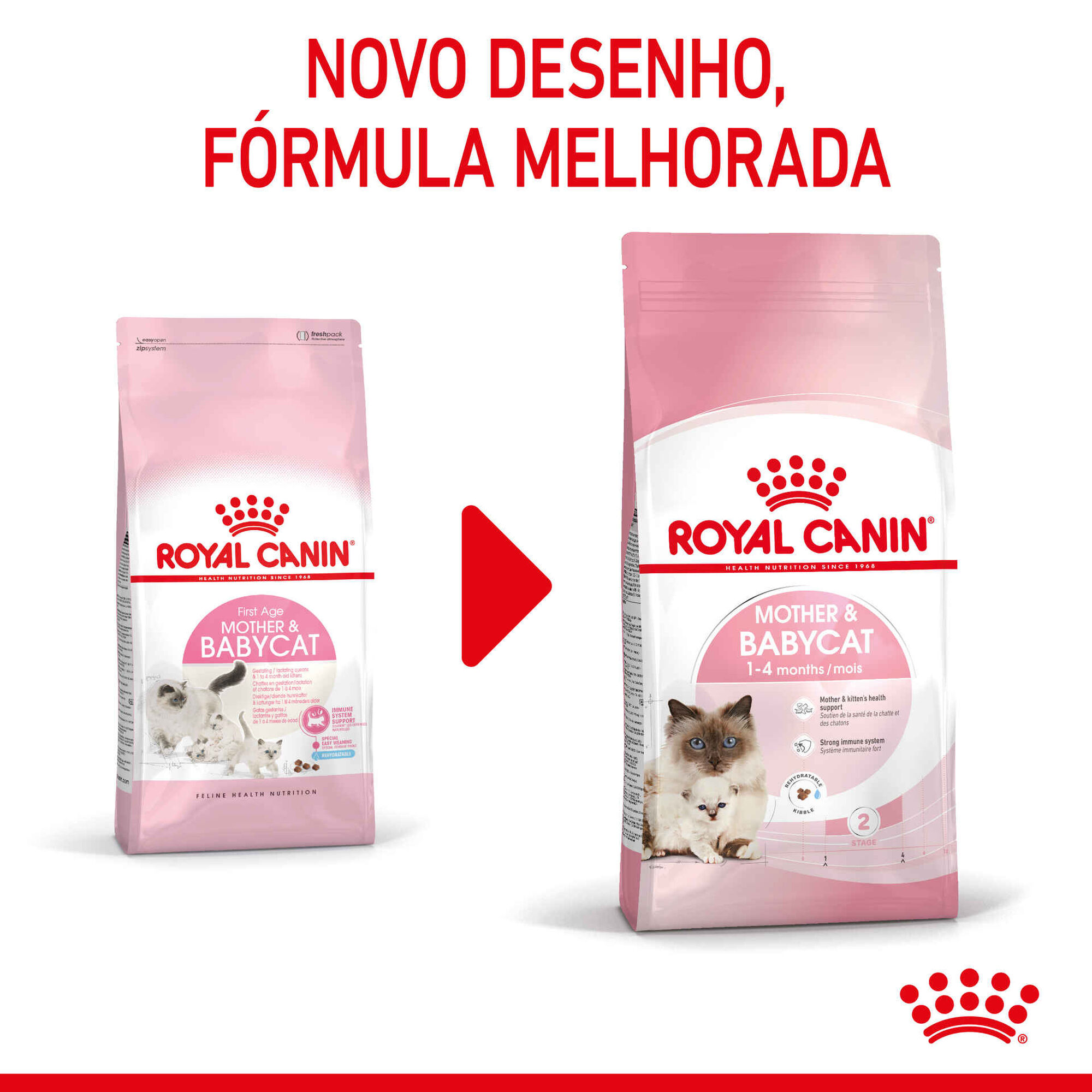 Ração para Gato First Age Mother e Babycat