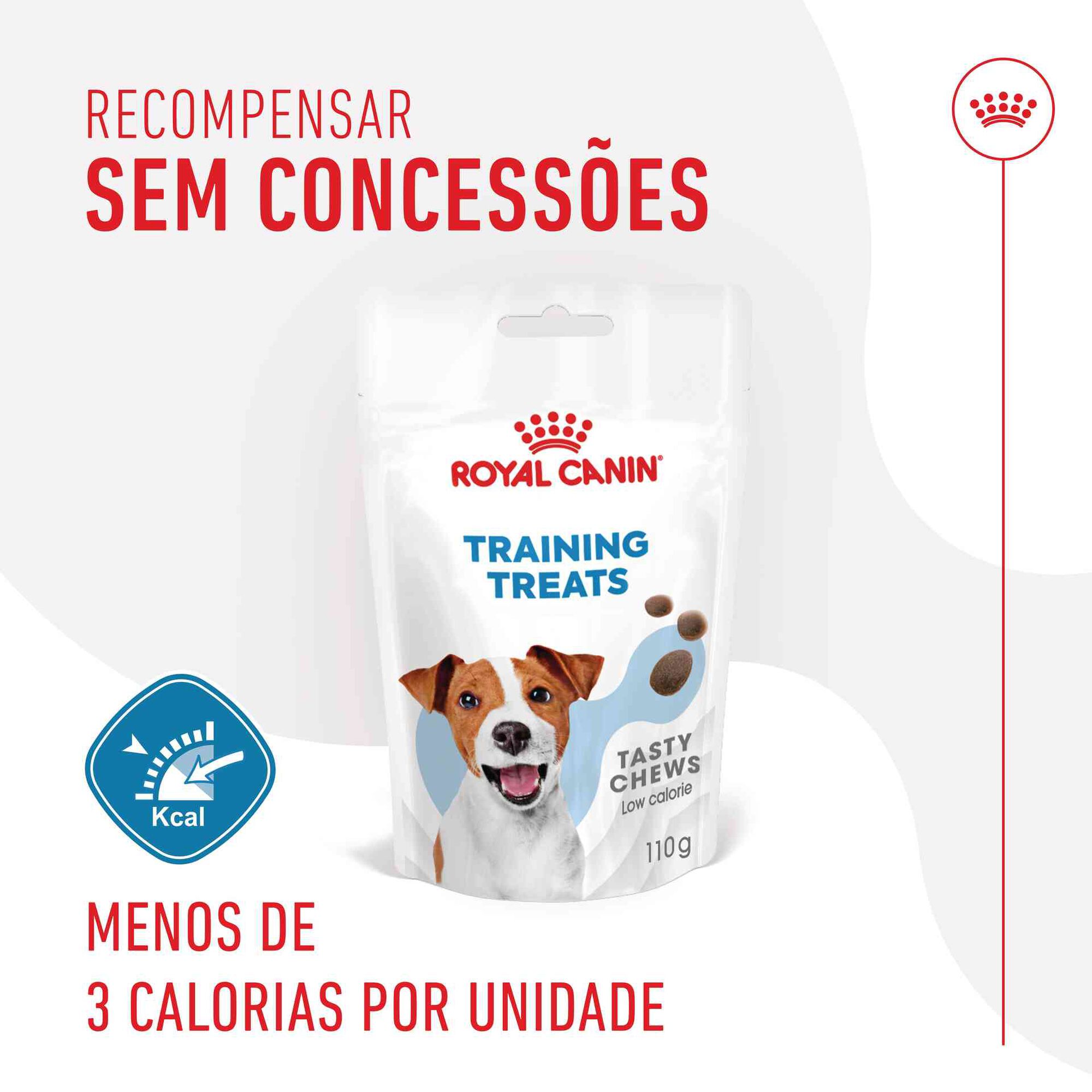 Snack para Cão Training Treats