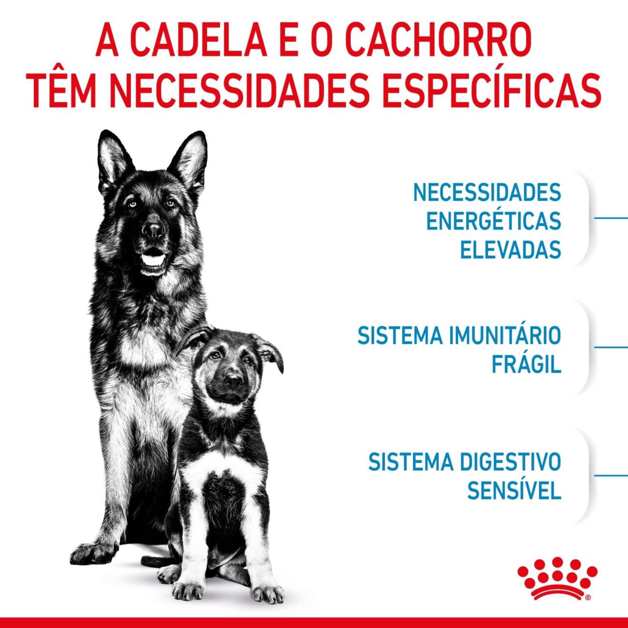Ração para Cão Júnior Maxi Starter Mother e Babydog