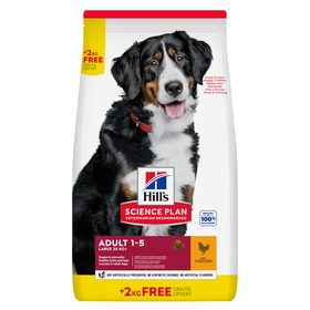 Ração para Cão Adulto Raças Grandes Science Plan Frango Ração para Cão Adulto Raças Grandes Science Plan Frango