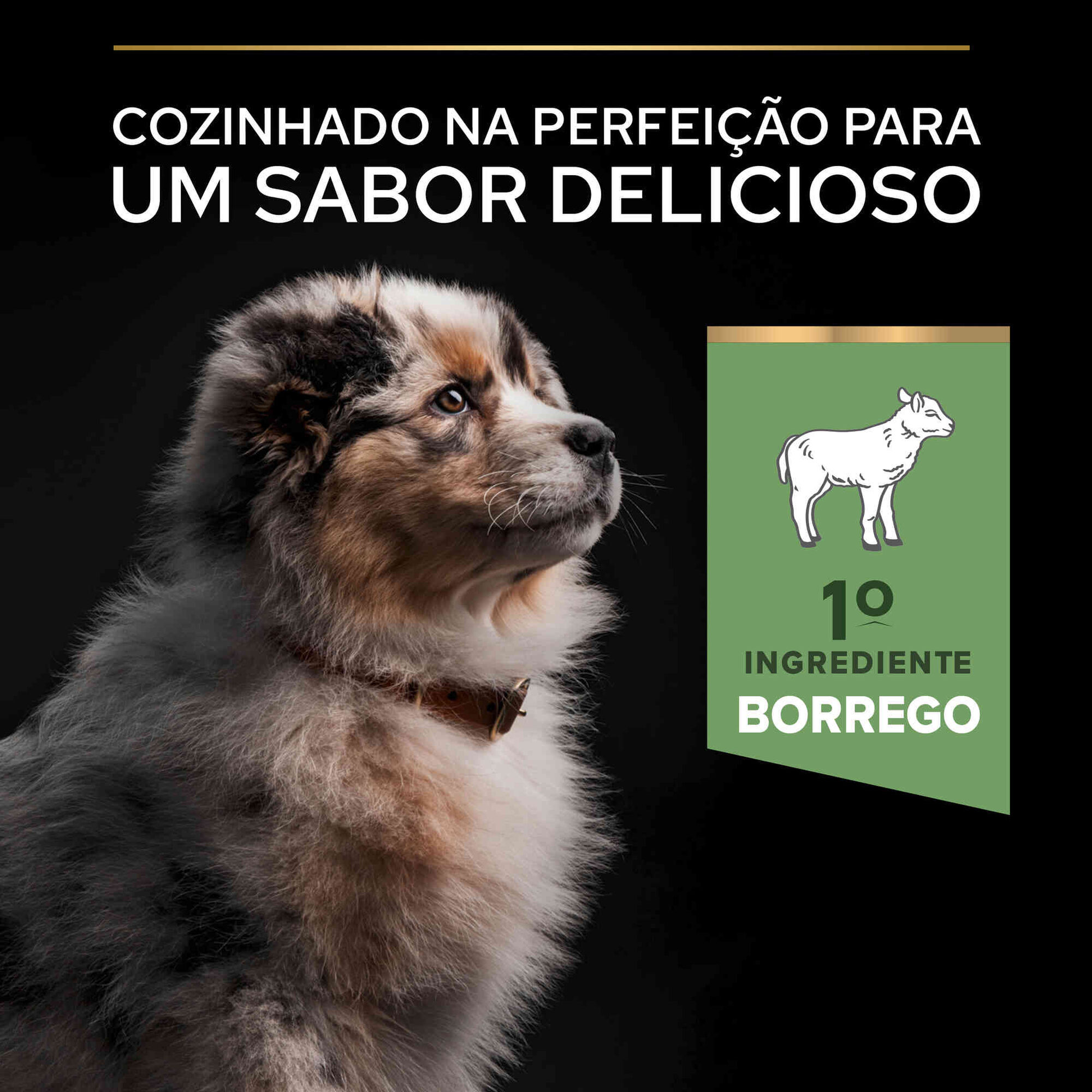 Ração para Cão Júnior Médio Sensitive Digestion Borrego