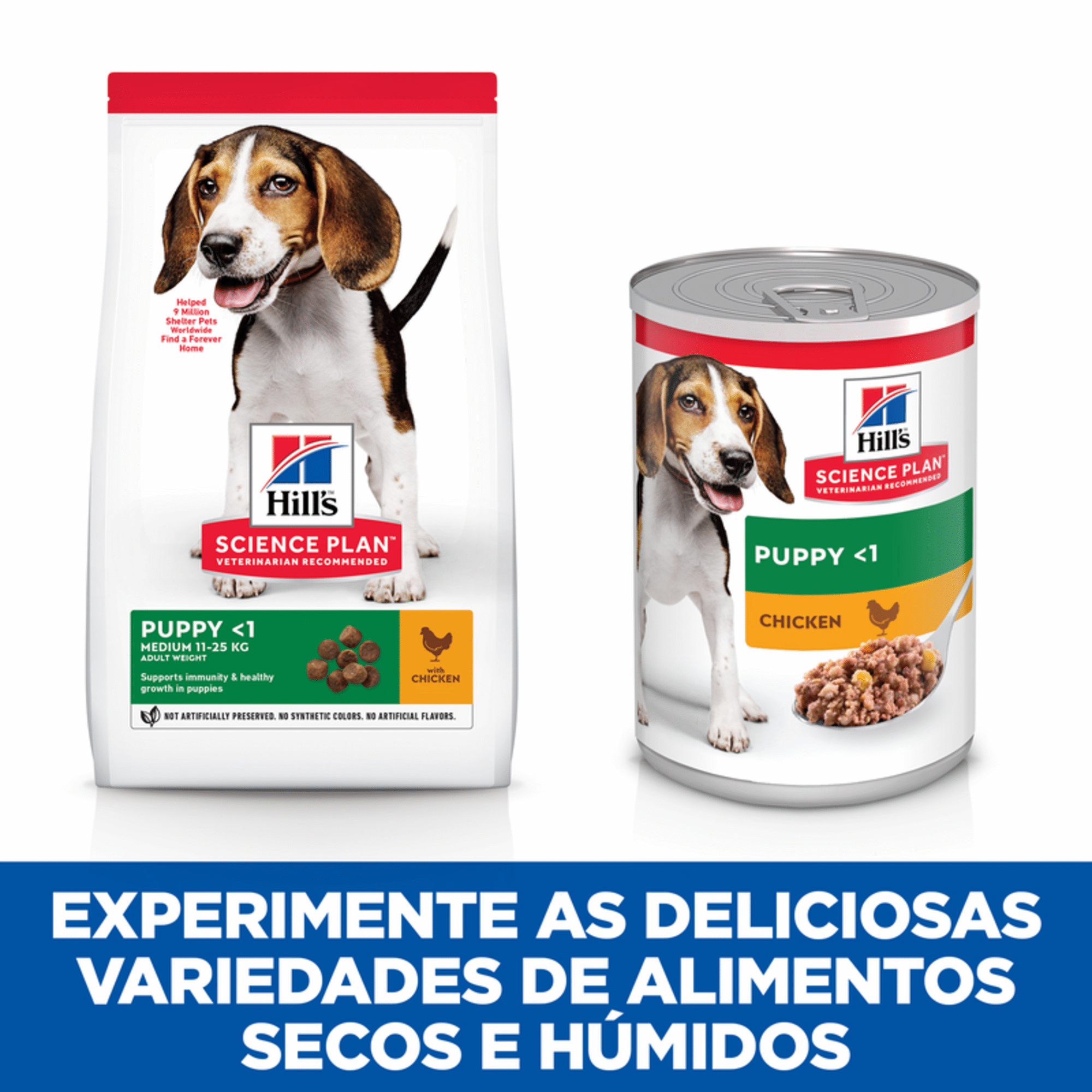 Ração para Cão Júnior Médio Science Plan Frango