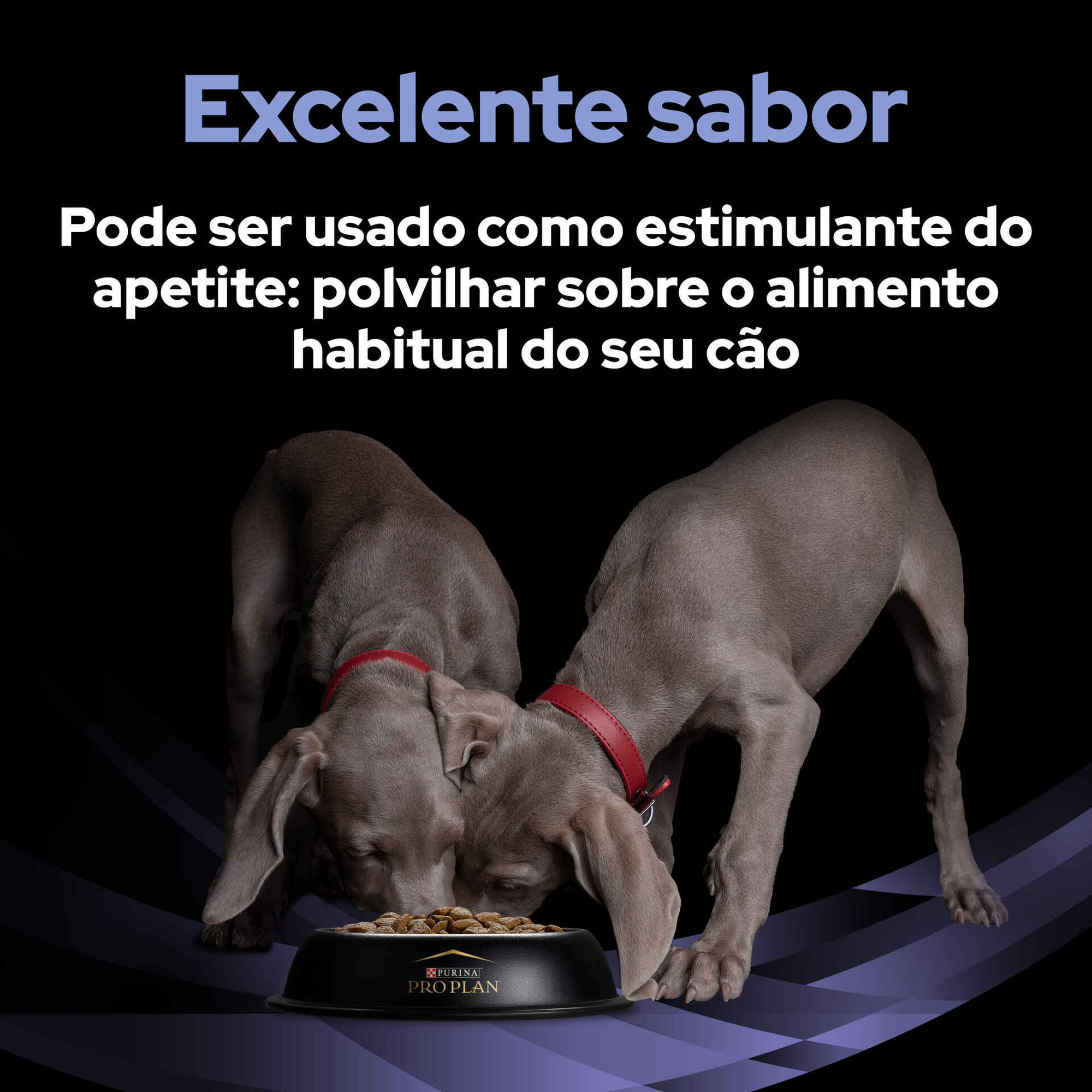 Suplemento Fortiflora para Cão Suplemento Fortiflora para Cão