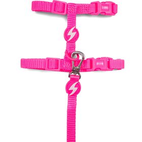 Trela e Arnês para Gato Rosa Neon Trela e Arnês para Gato Rosa Neon