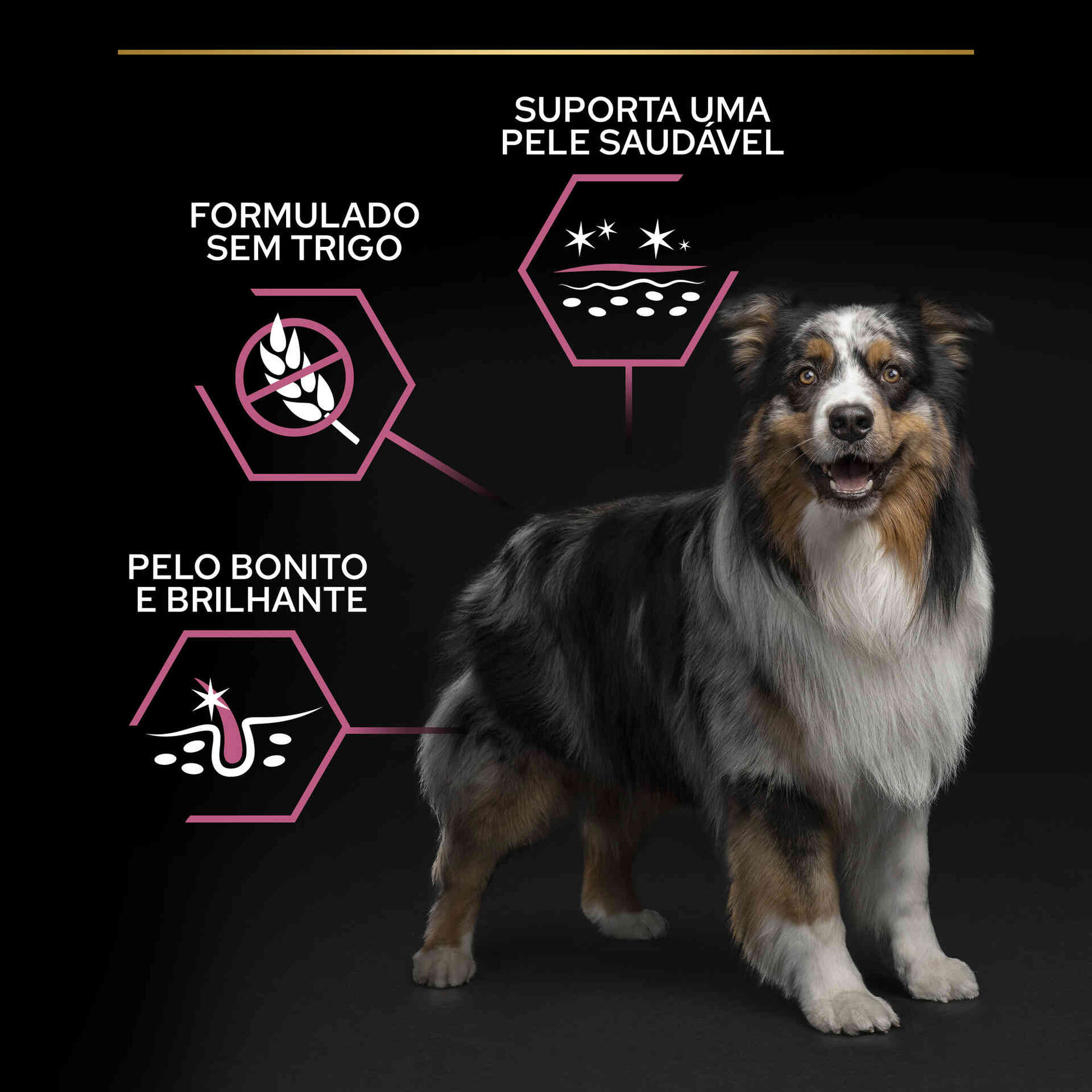 Ração para Cão Adulto Médio Sensitive Skin Salmão