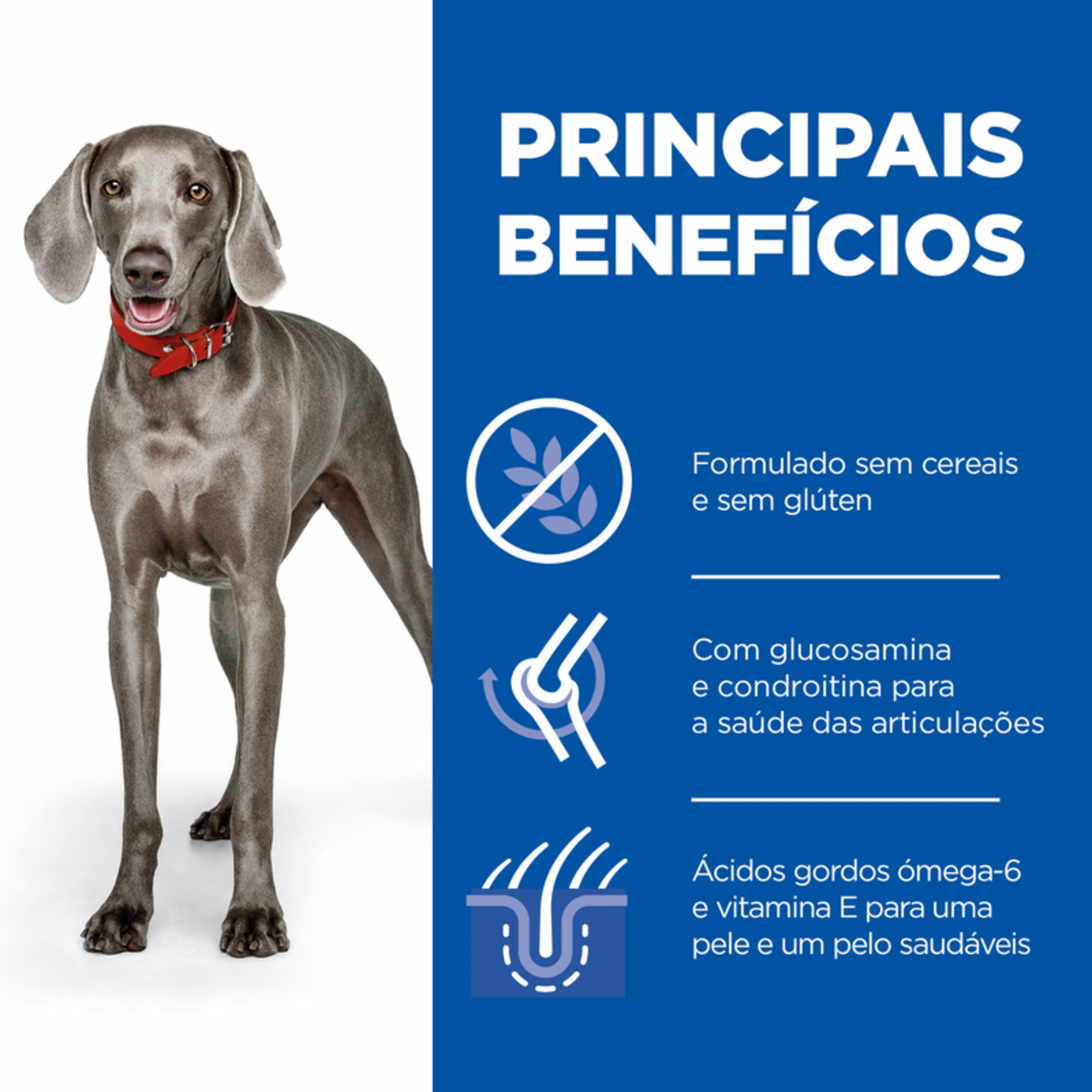 Ra&ccedil;&atilde;o para C&atilde;o Adulto Maxi Science Plan Grain Free Frango