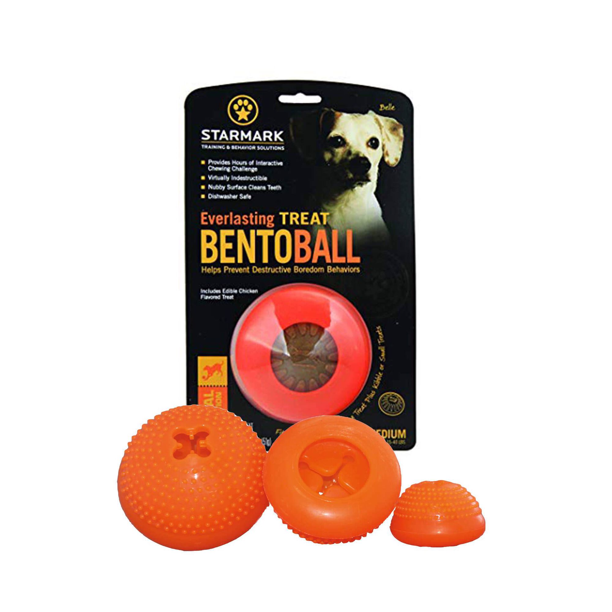 Brinquedo para Cão Bola Everlasting Bento L