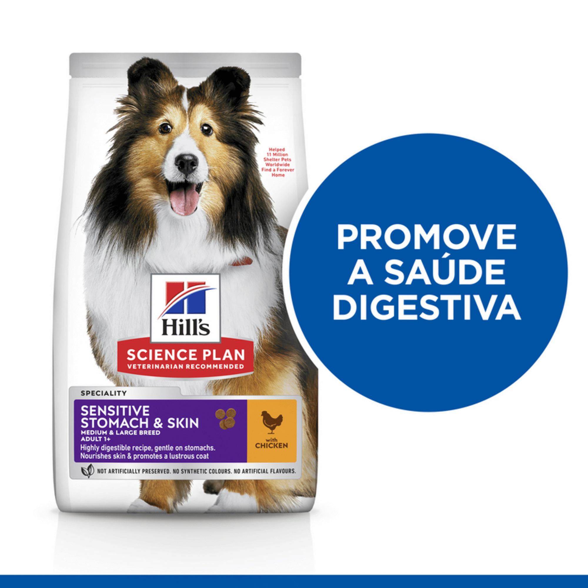 Ração para Cão Adulto Médio Science Plan Stomach & Skin