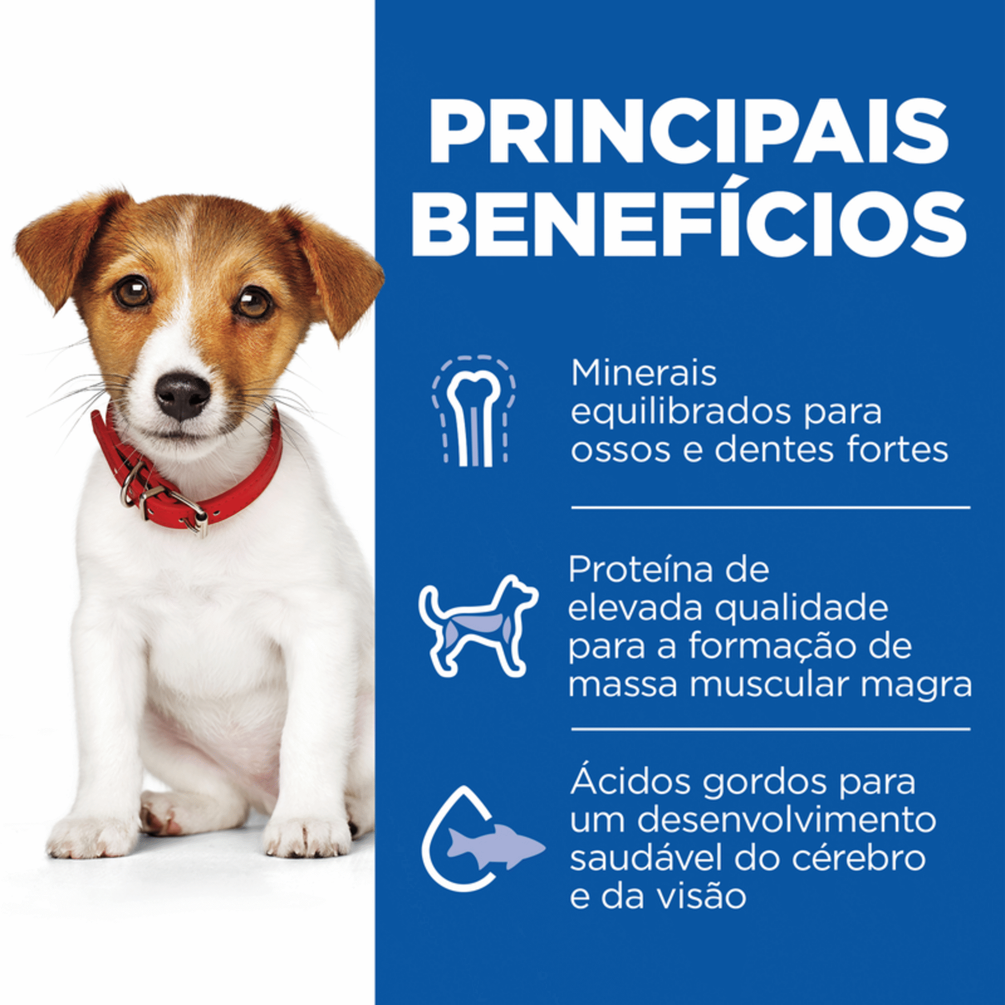 Ração para Cão Adulto Science Plan Borrego Ração para Cão Adulto Science Plan Borrego