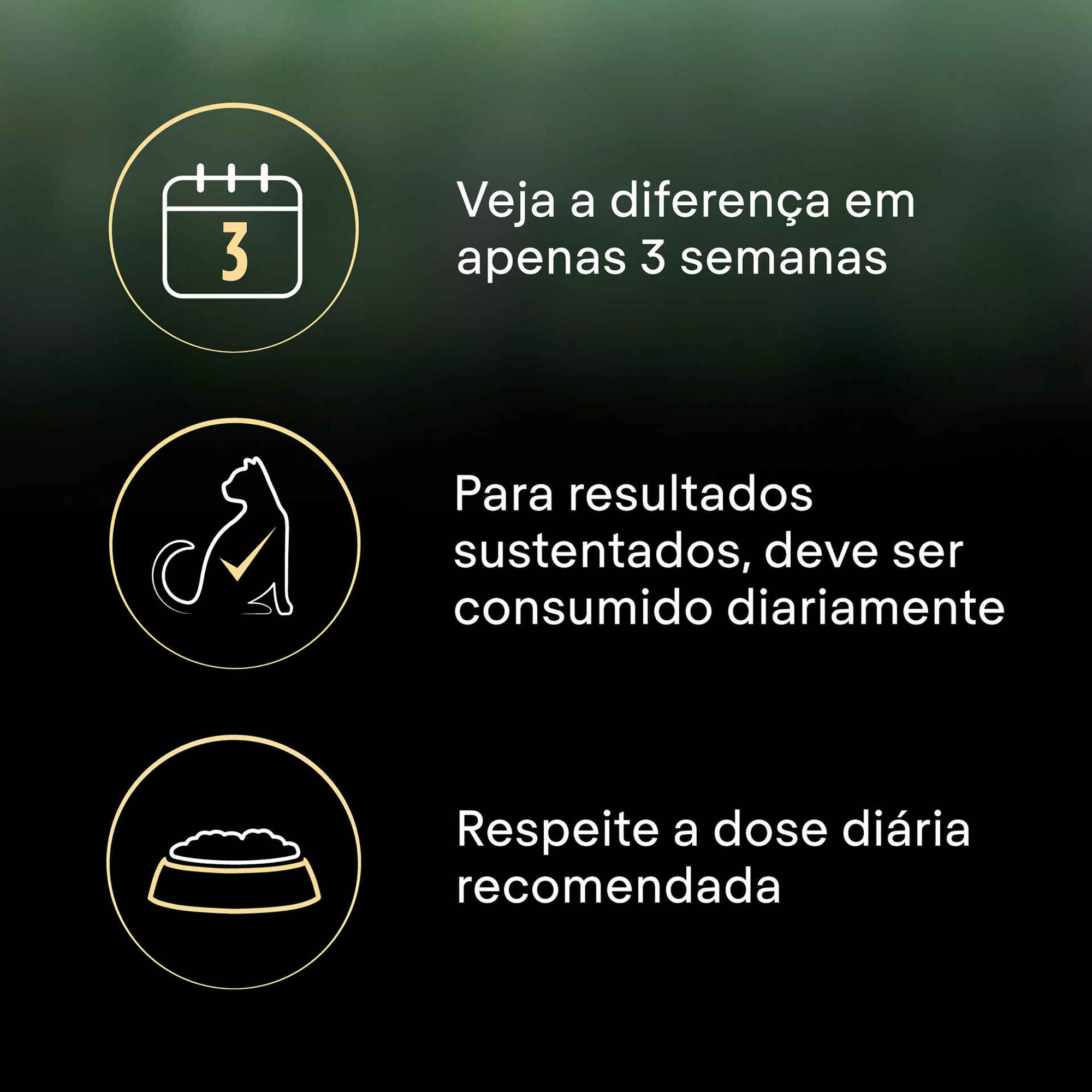 Ração para Gato Adulto Esterilizado Live Clear Salmão