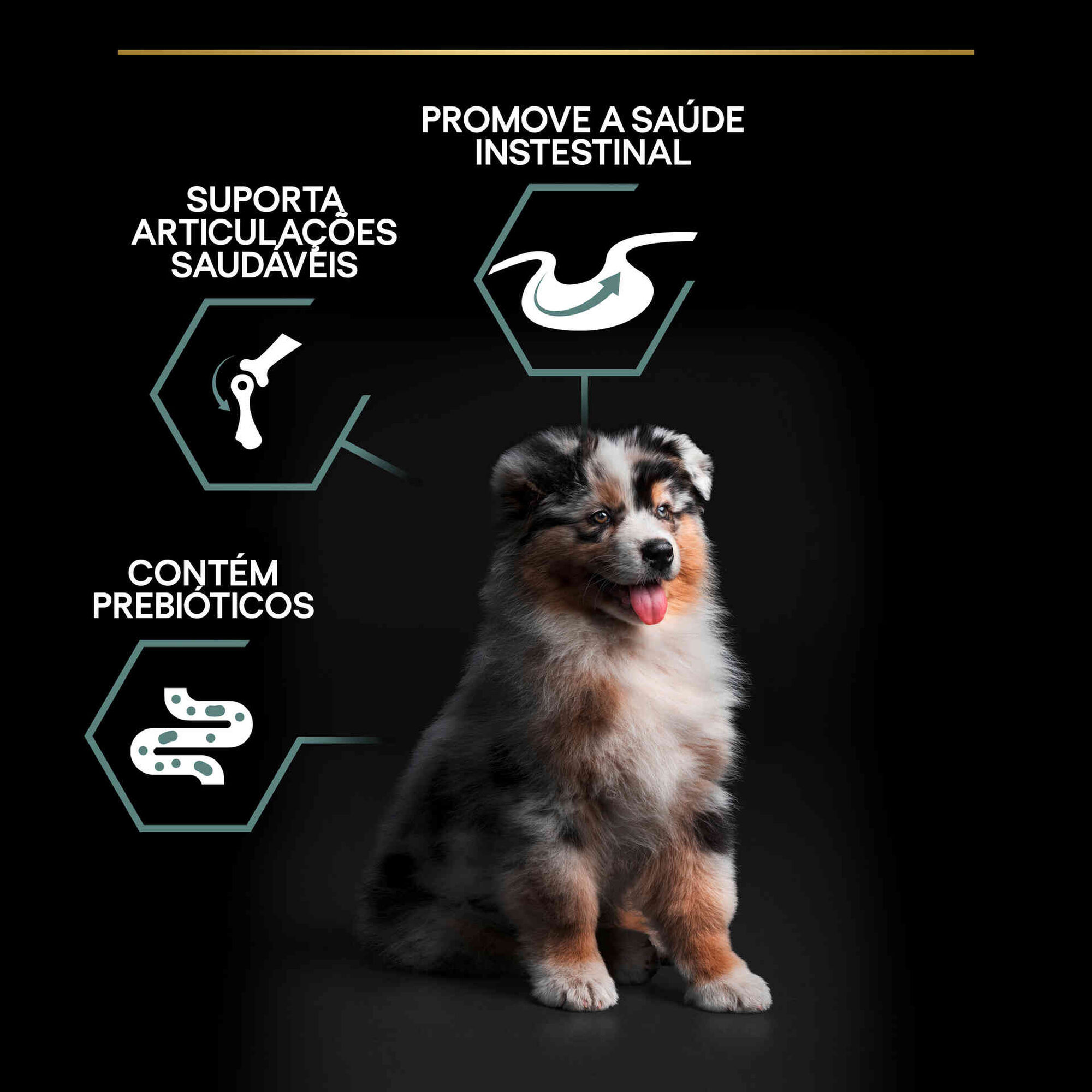 Ração para Cão Júnior Médio Sensitive Digestion Borrego